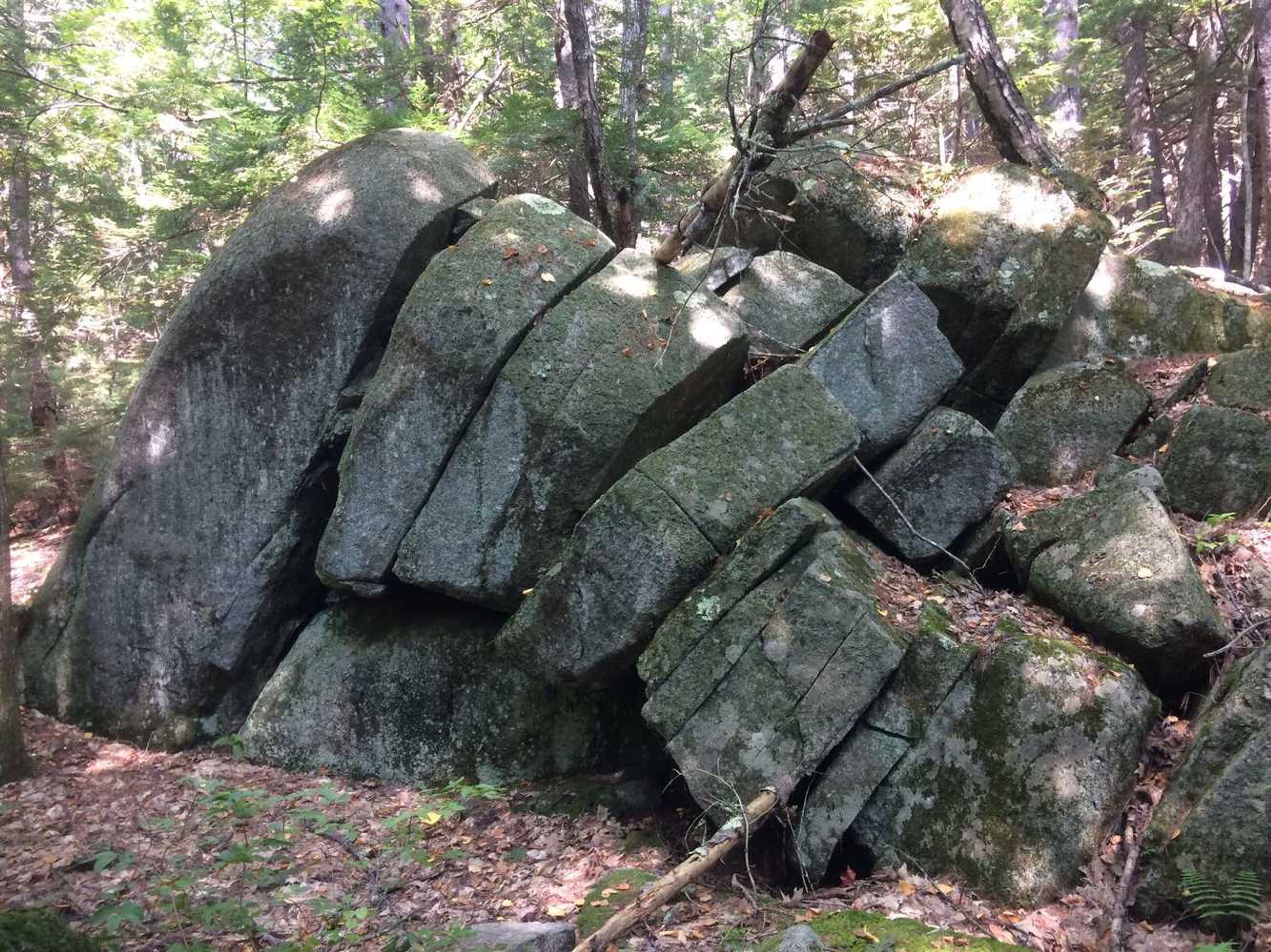 A shattered boulder lies in the forest.