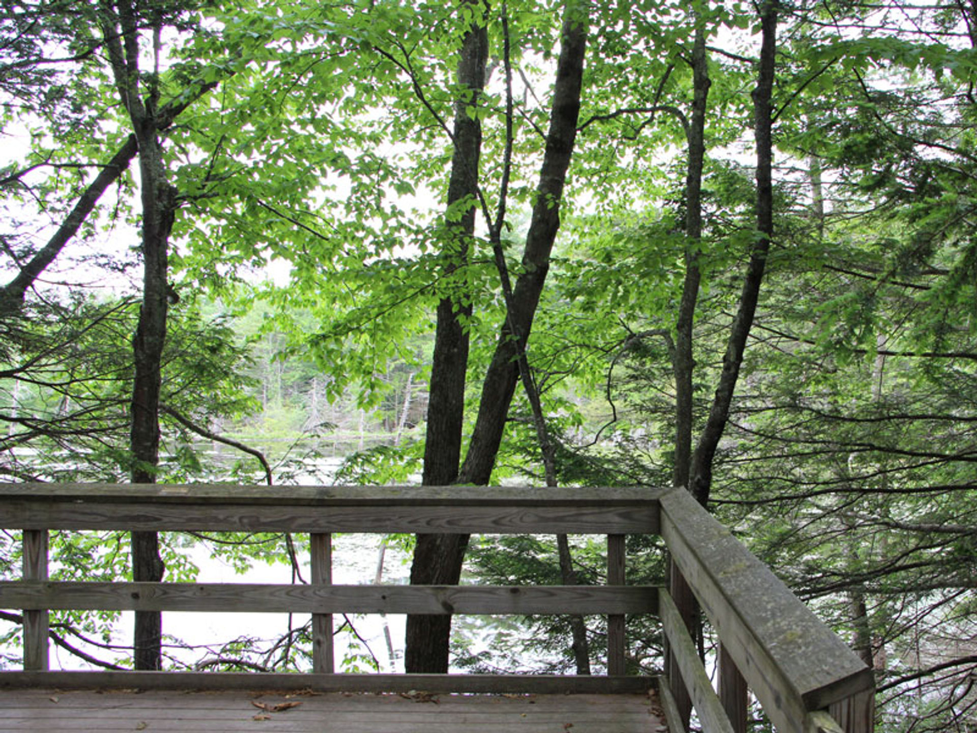 A lookout point with a view of the pond.