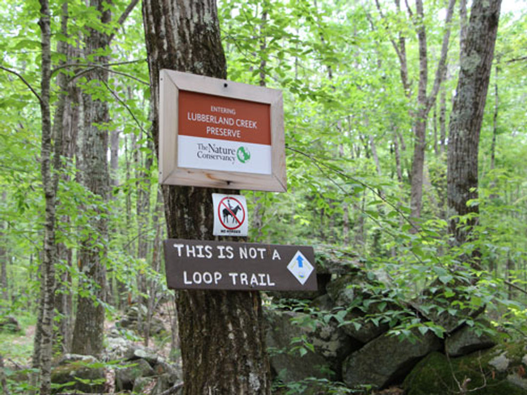 A sign says "This is not a loop trail," as the trail enters the Lubberland Creek Preserve.