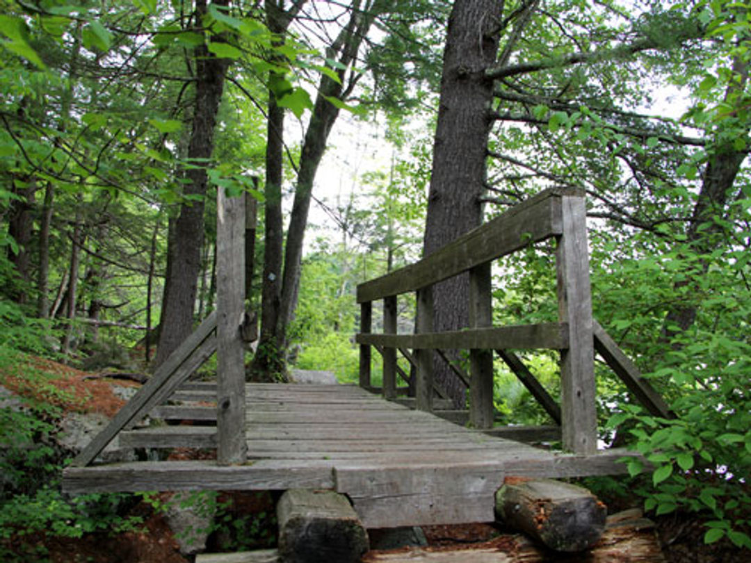 A wooden bridge on the trail.