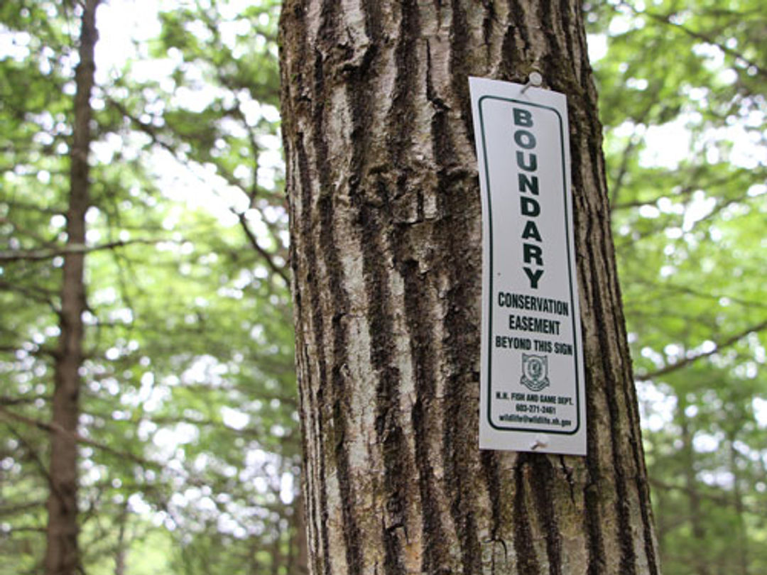 A sign says "Boundary: Conservation Easement Beyond This Sign," on a tree.