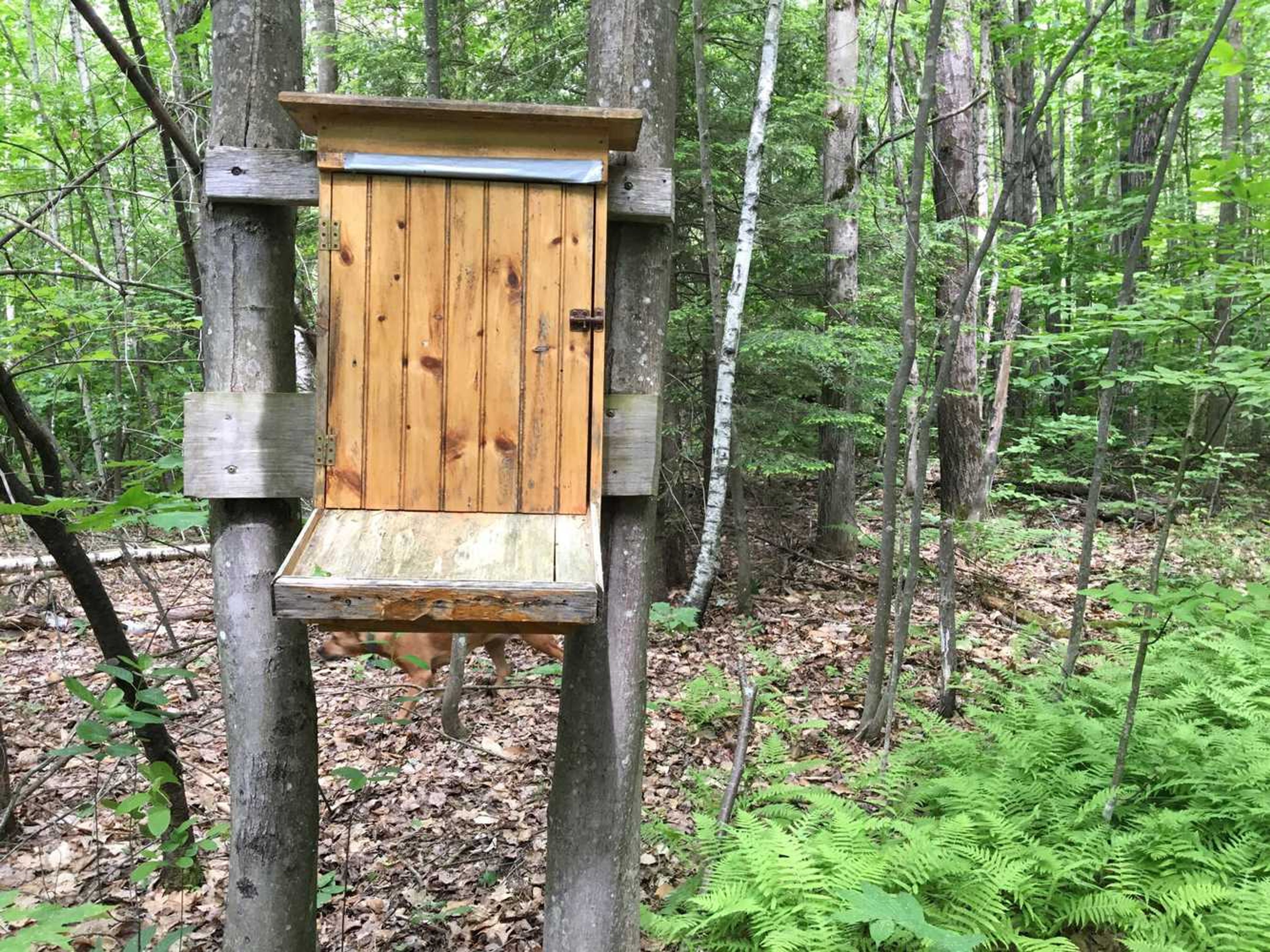 A wood kiosk in the forest.