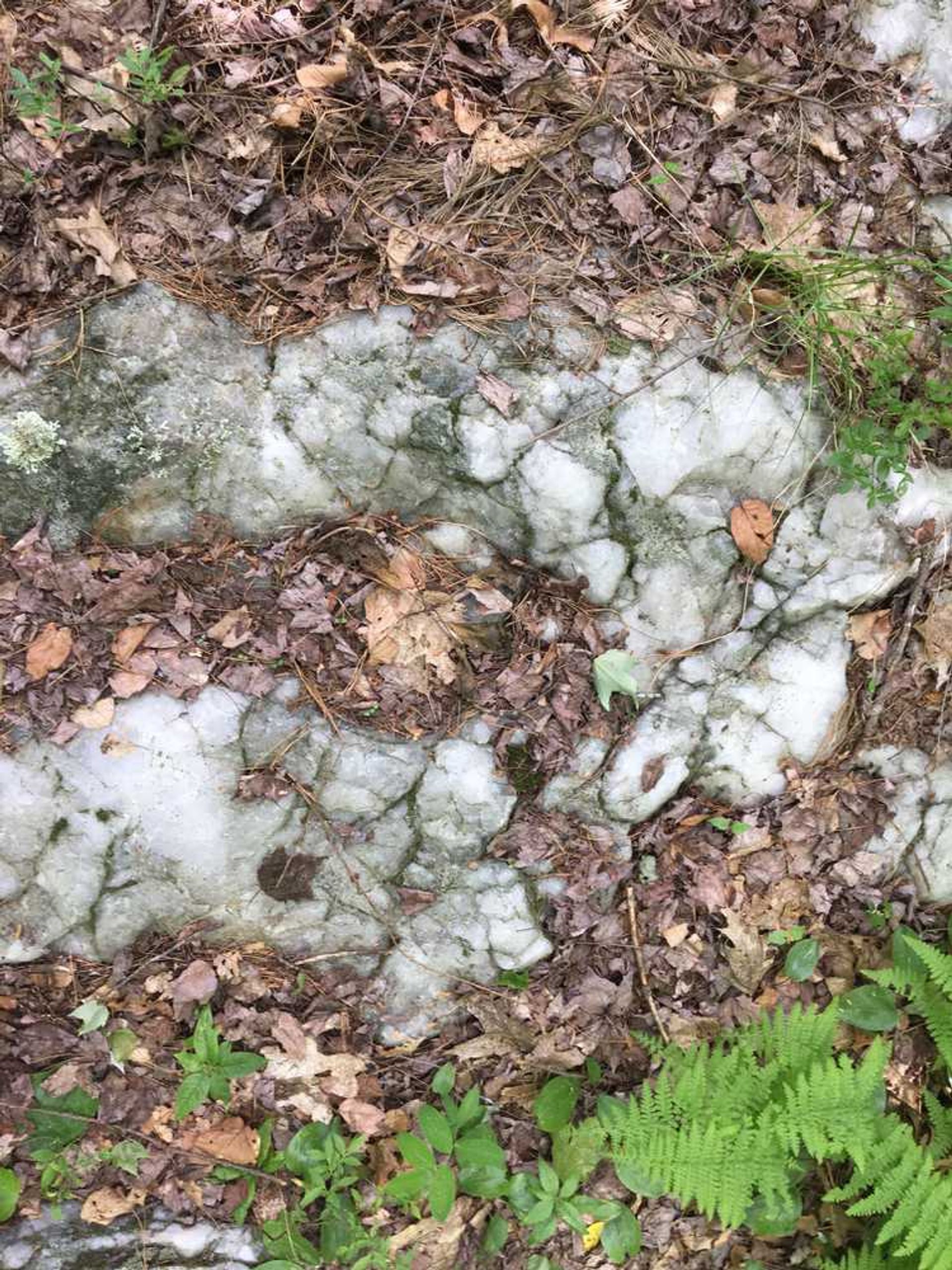 White quartz in the forest.