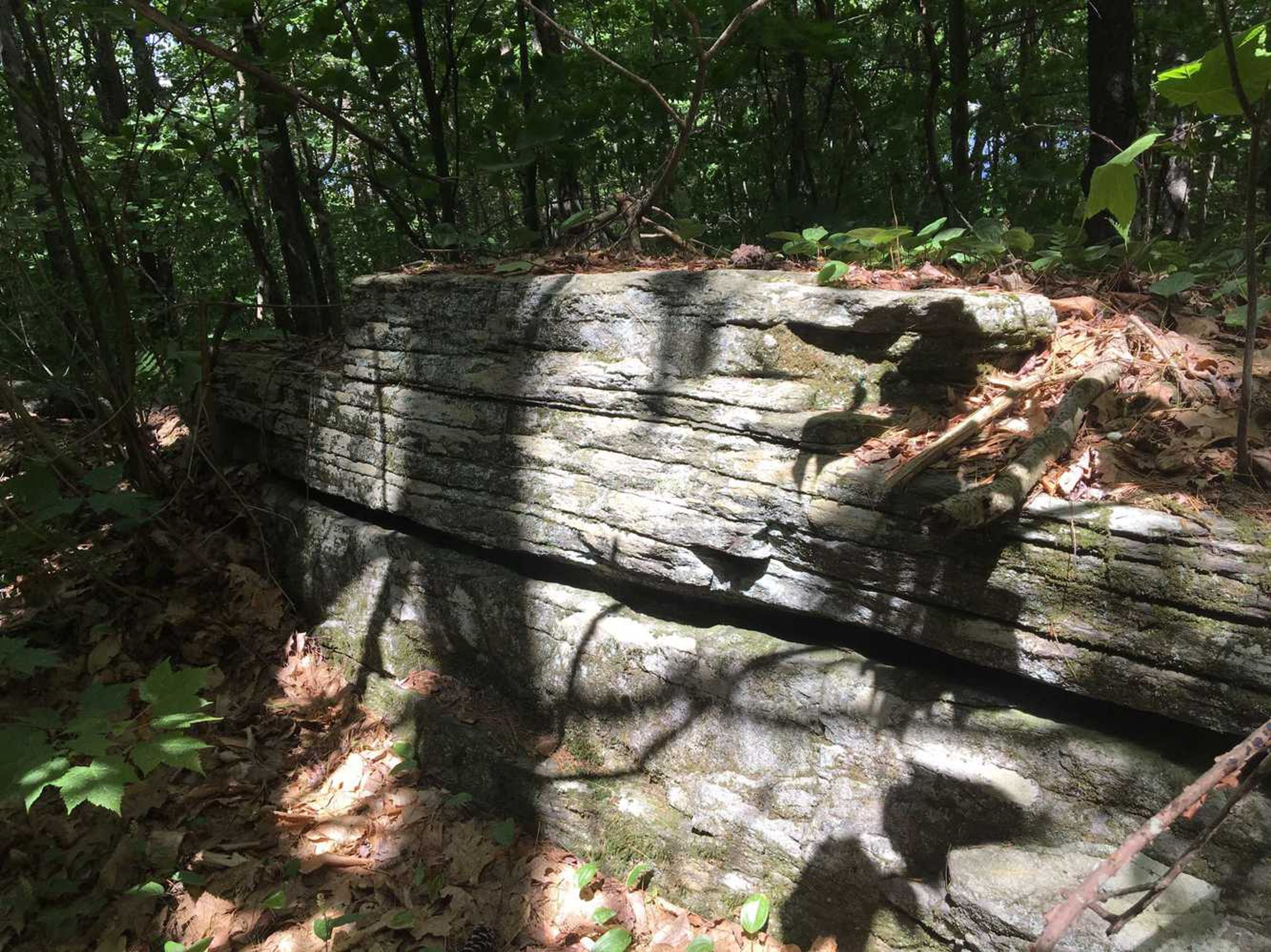 Granite boulders in the forest.