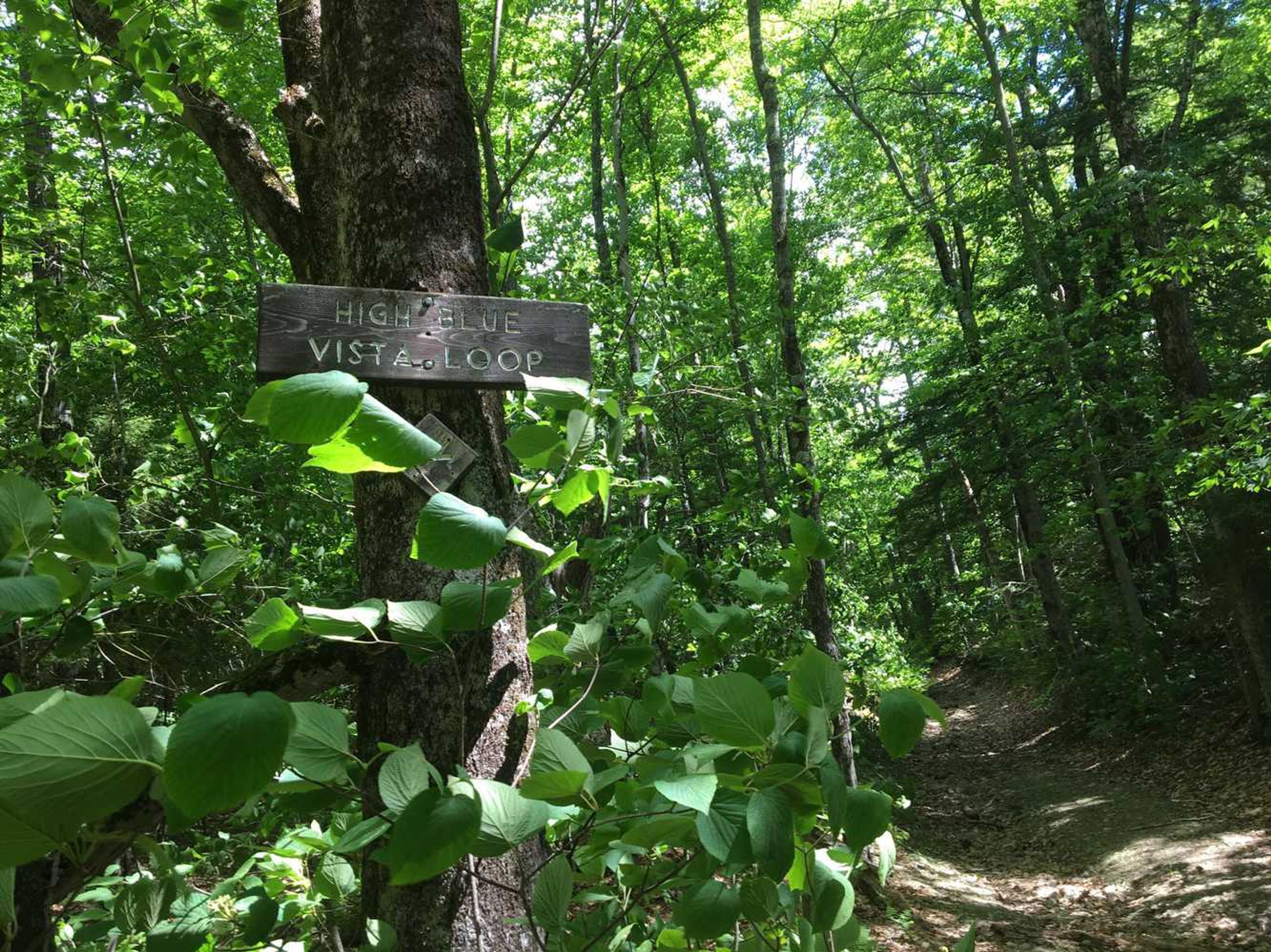 A sign for the High Blue Vista Loop next to the trail.