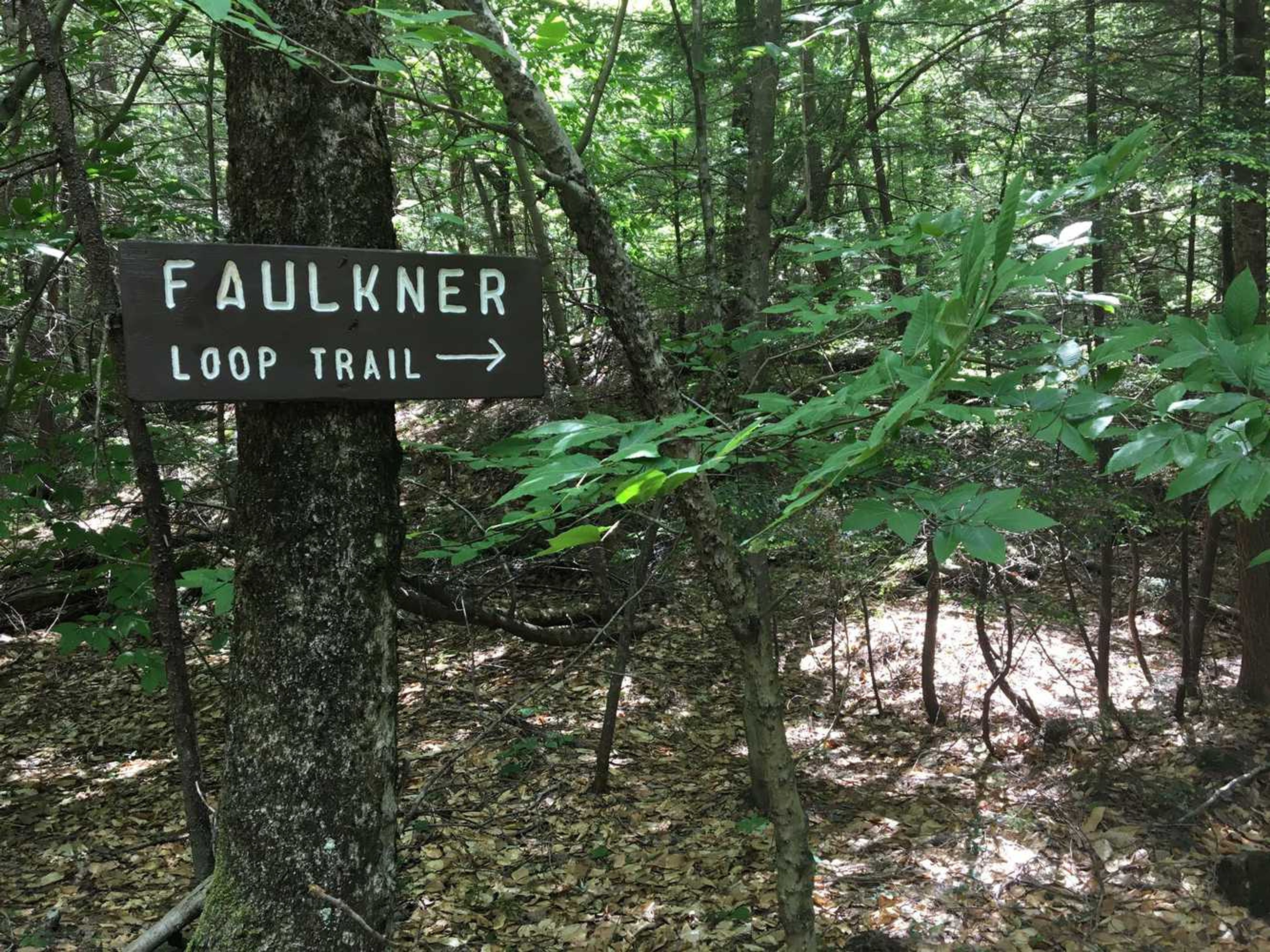 A sign points to the Faulkner Loop Trail.