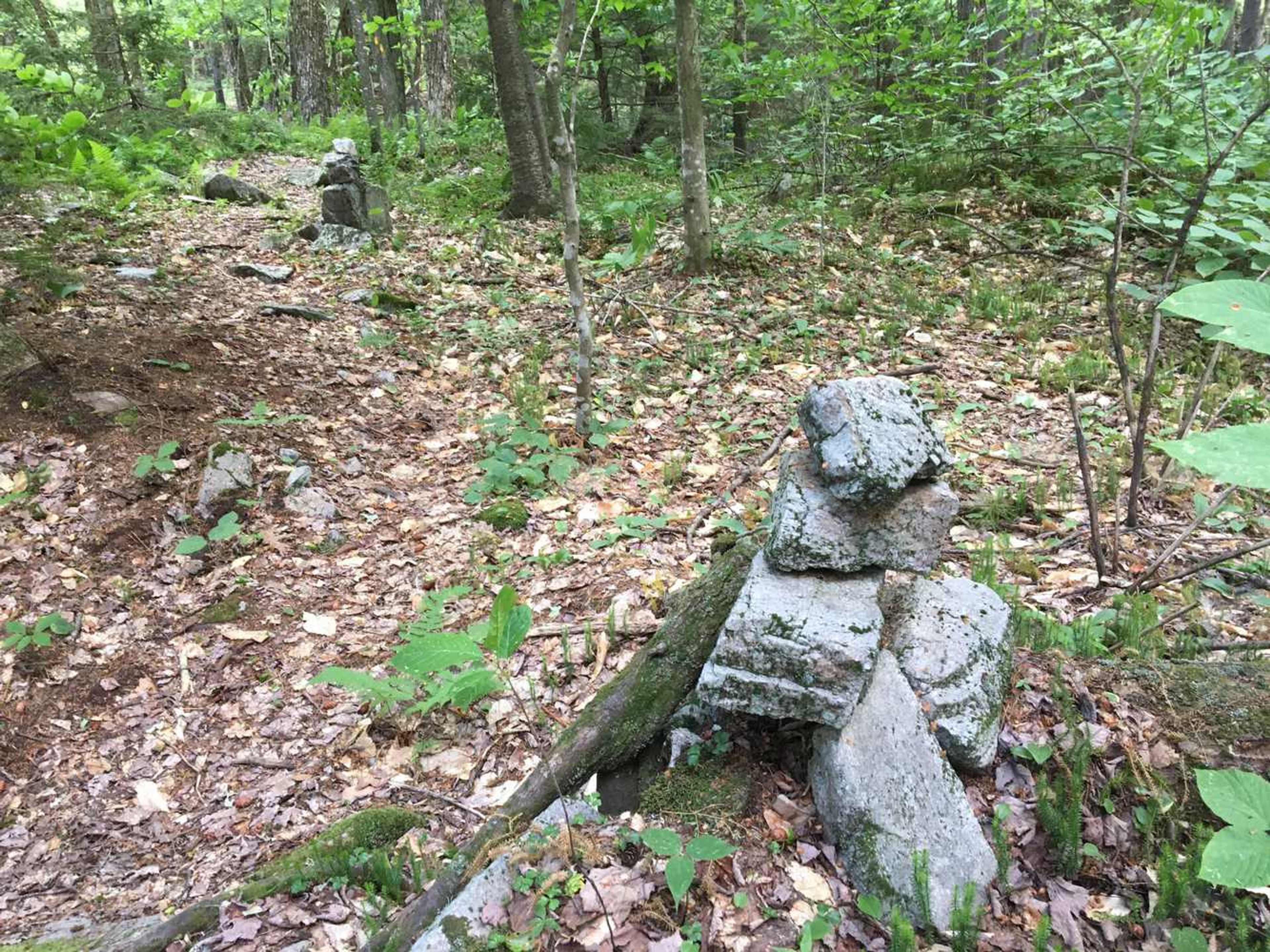 Rock cairns in the woods near the trail.