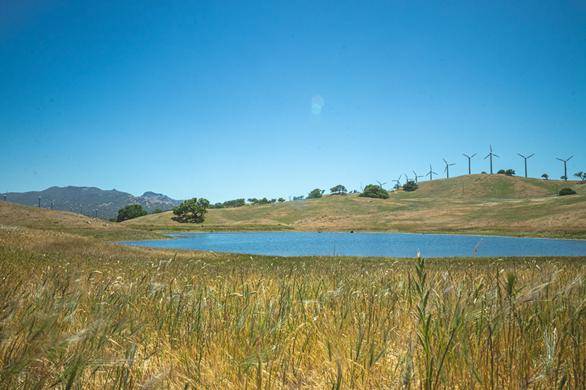 View from Pond to Windmills