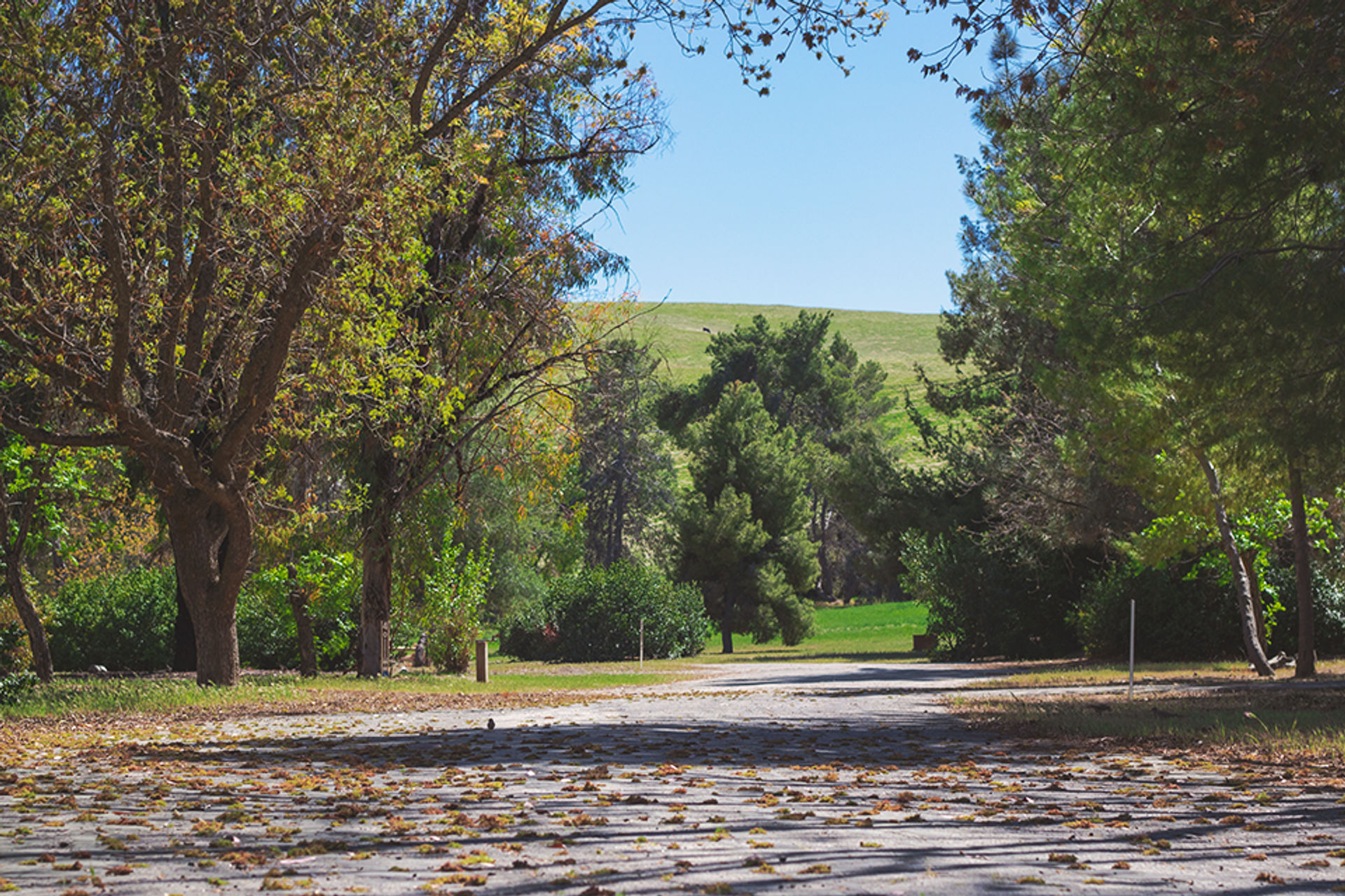 Basalt Campground in San Luis Reservoir State Recreation Area