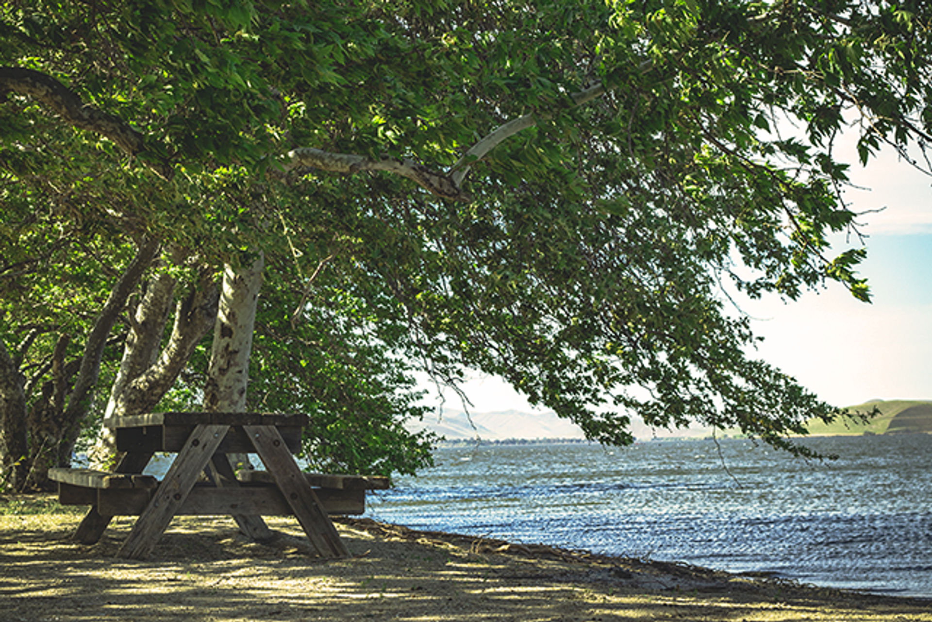 Medeiros Area Picnic Table by the water in San Luis Reservoir State Recreation Area