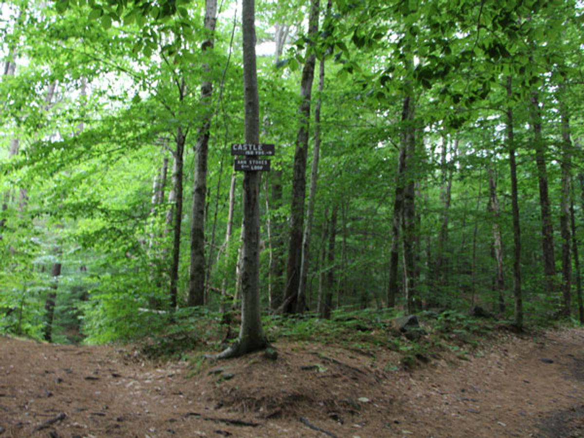 A sign indicates a left to the Ann Stokes Loop and a right to the castle remains.