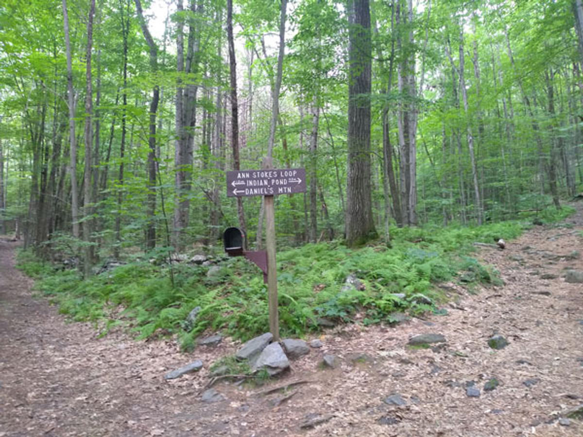 A sign along the Ann Stokes Loop points left to Daniel's Mountain and has a mailbox on it.