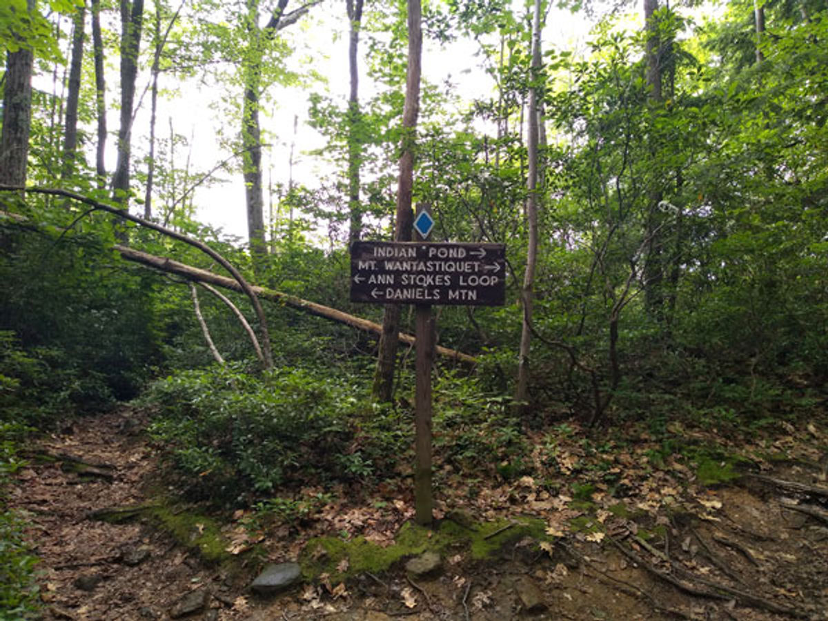 A sign with a blue blaze points left to Indian Pond and left to the Ann Stokes Loop.