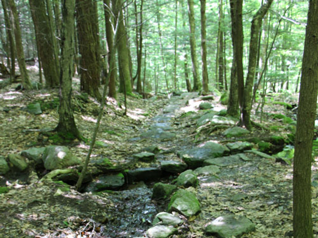 Trail crews have placed stones on the trail as stepping stones and as a “waterbar” to divert water off the trail.