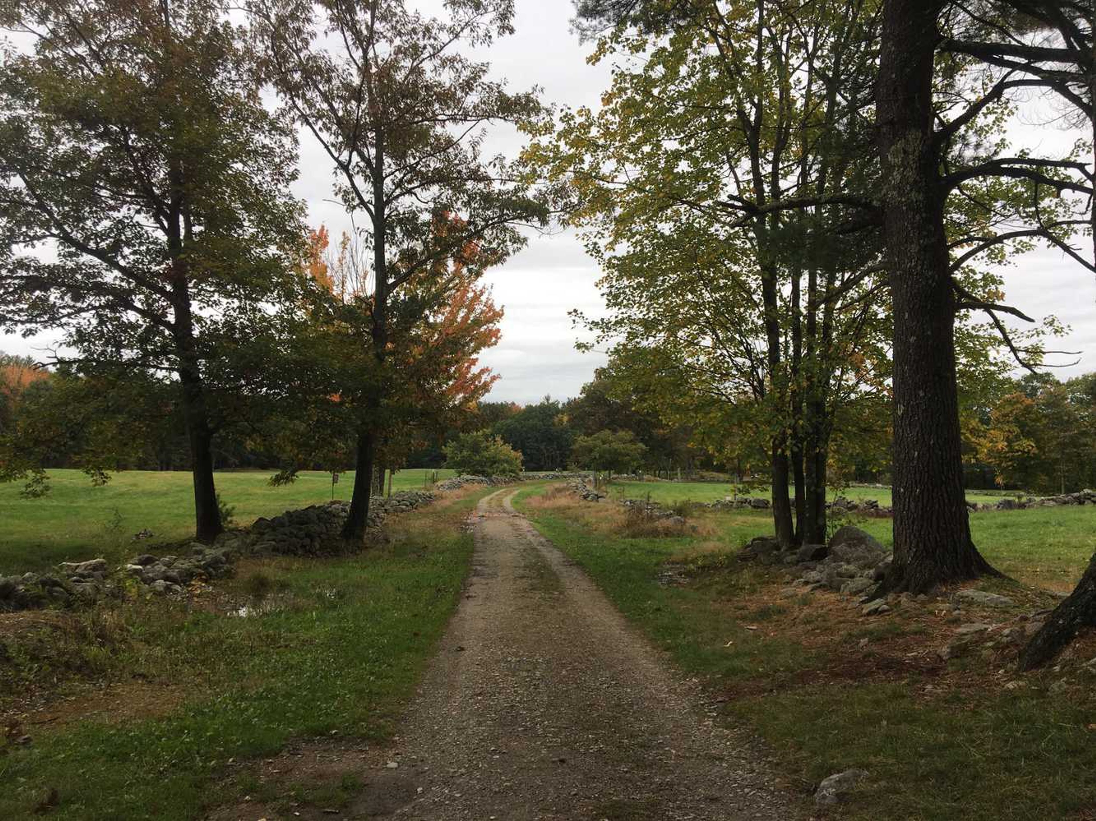 The entrance to this historic site is lined by trees and stone walls.