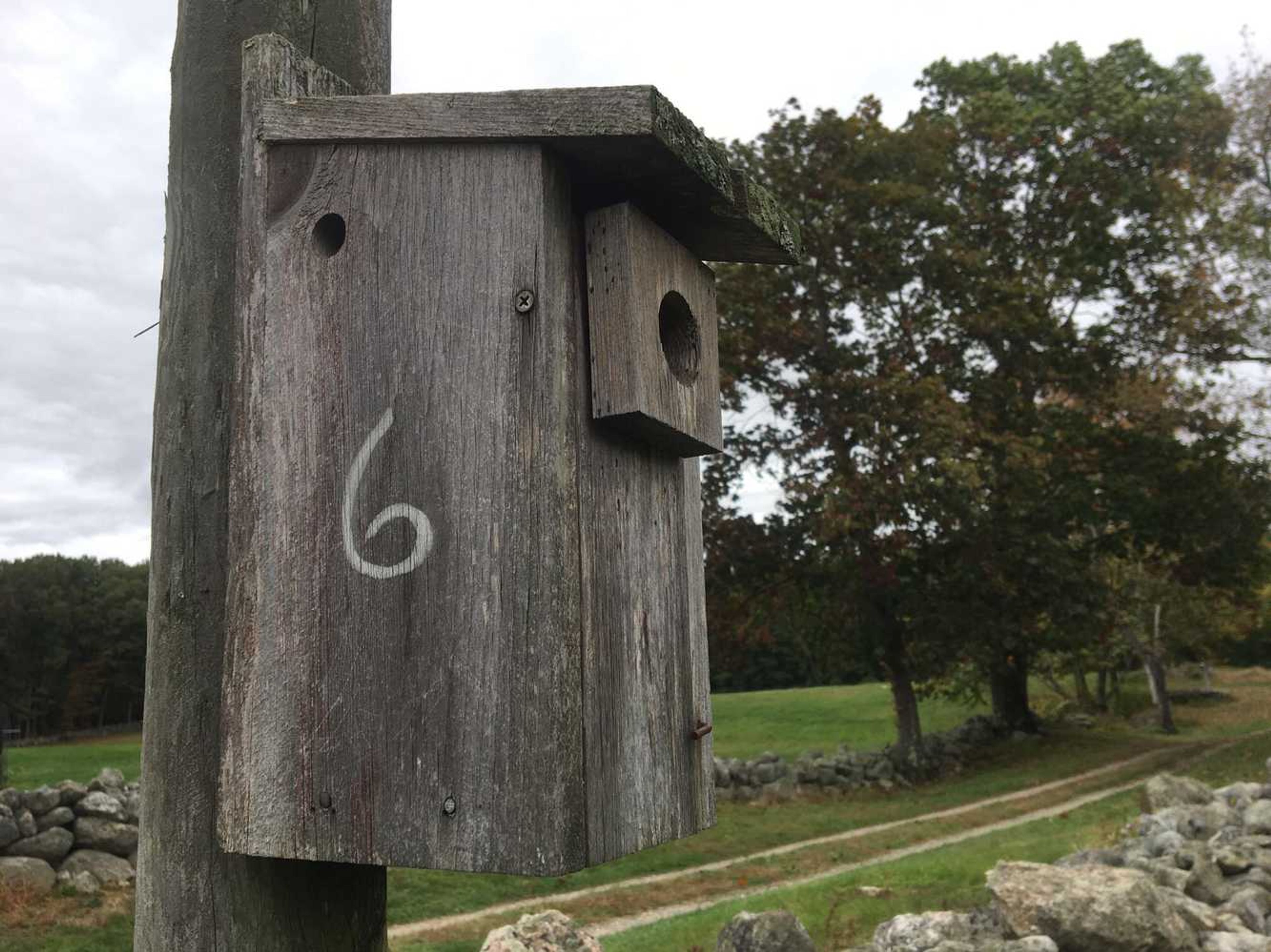 A wooden bird box is marked with the number 6.