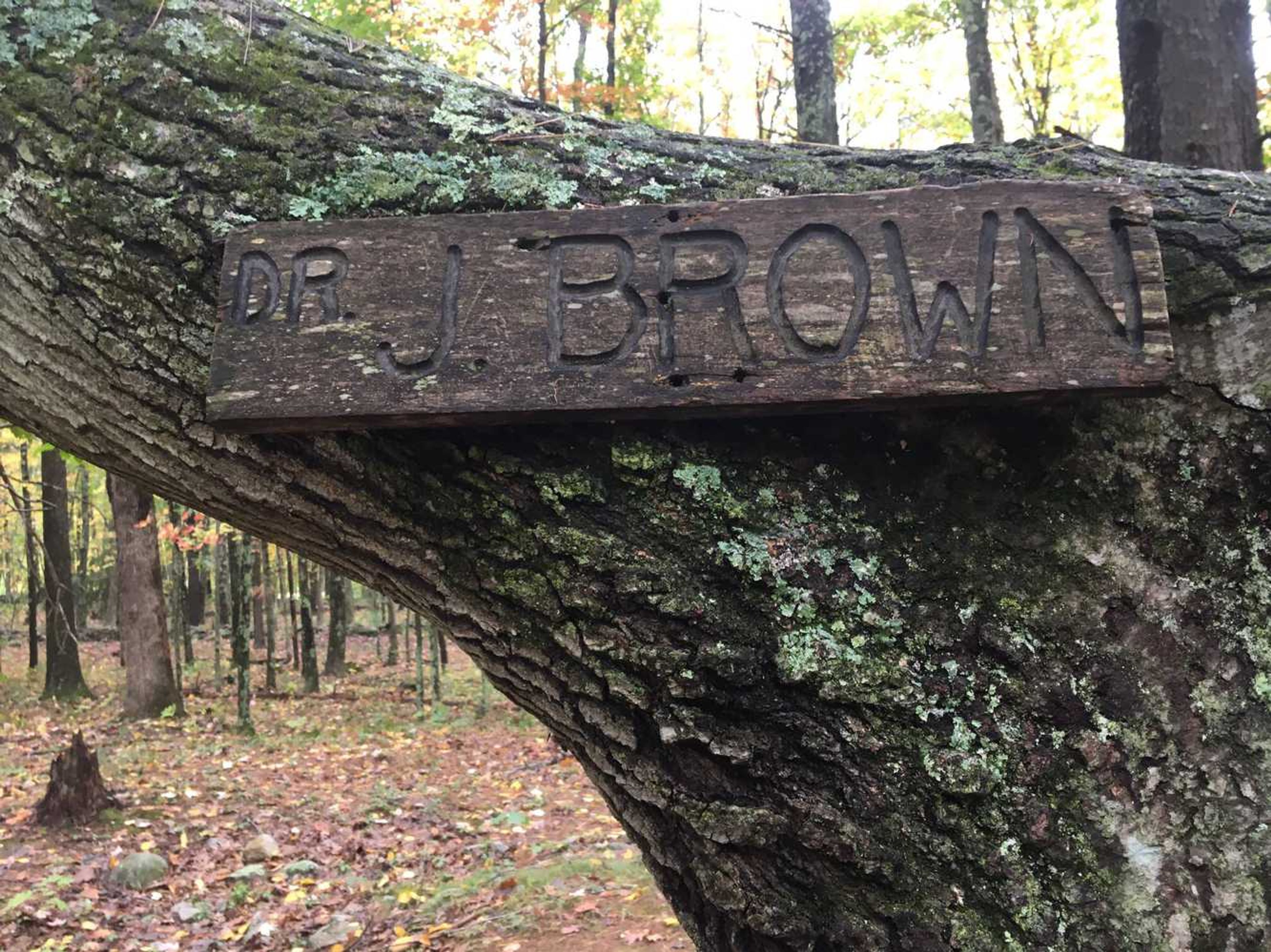 A carved wooden sign reads Dr. J Brown.