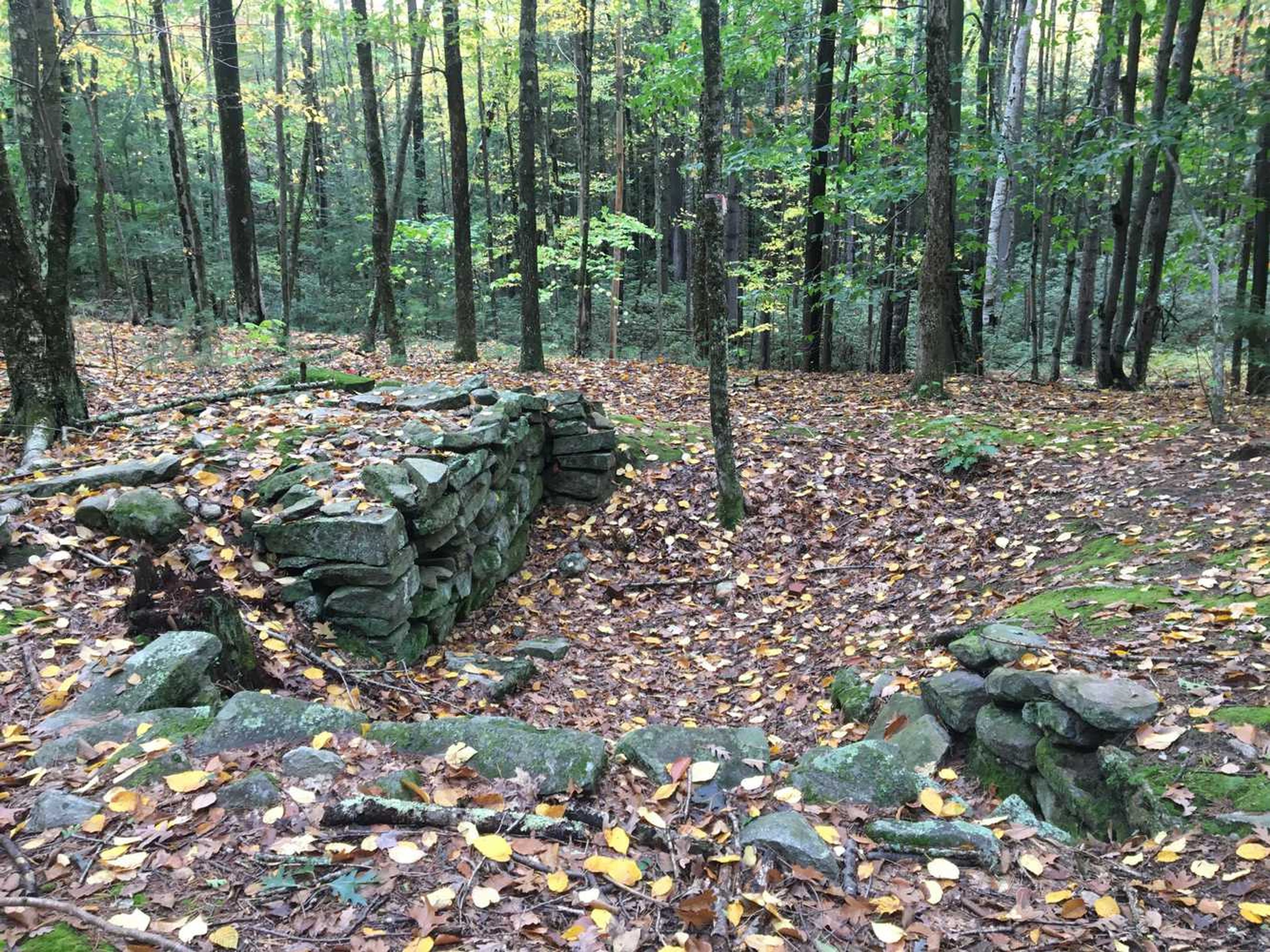 The remains of a stone foundation for a home.