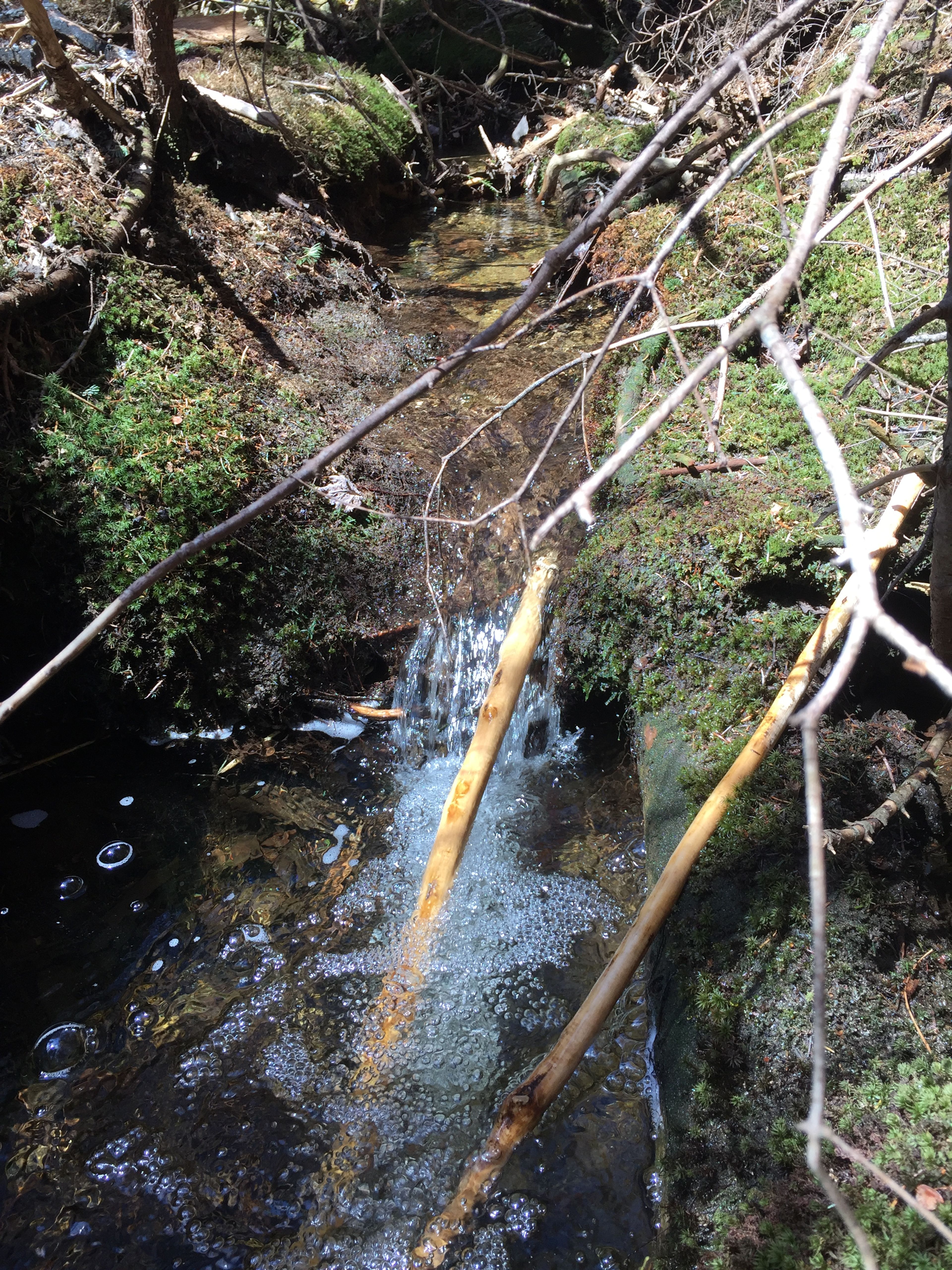 Water flows under rocks here in Kinsman Notch.