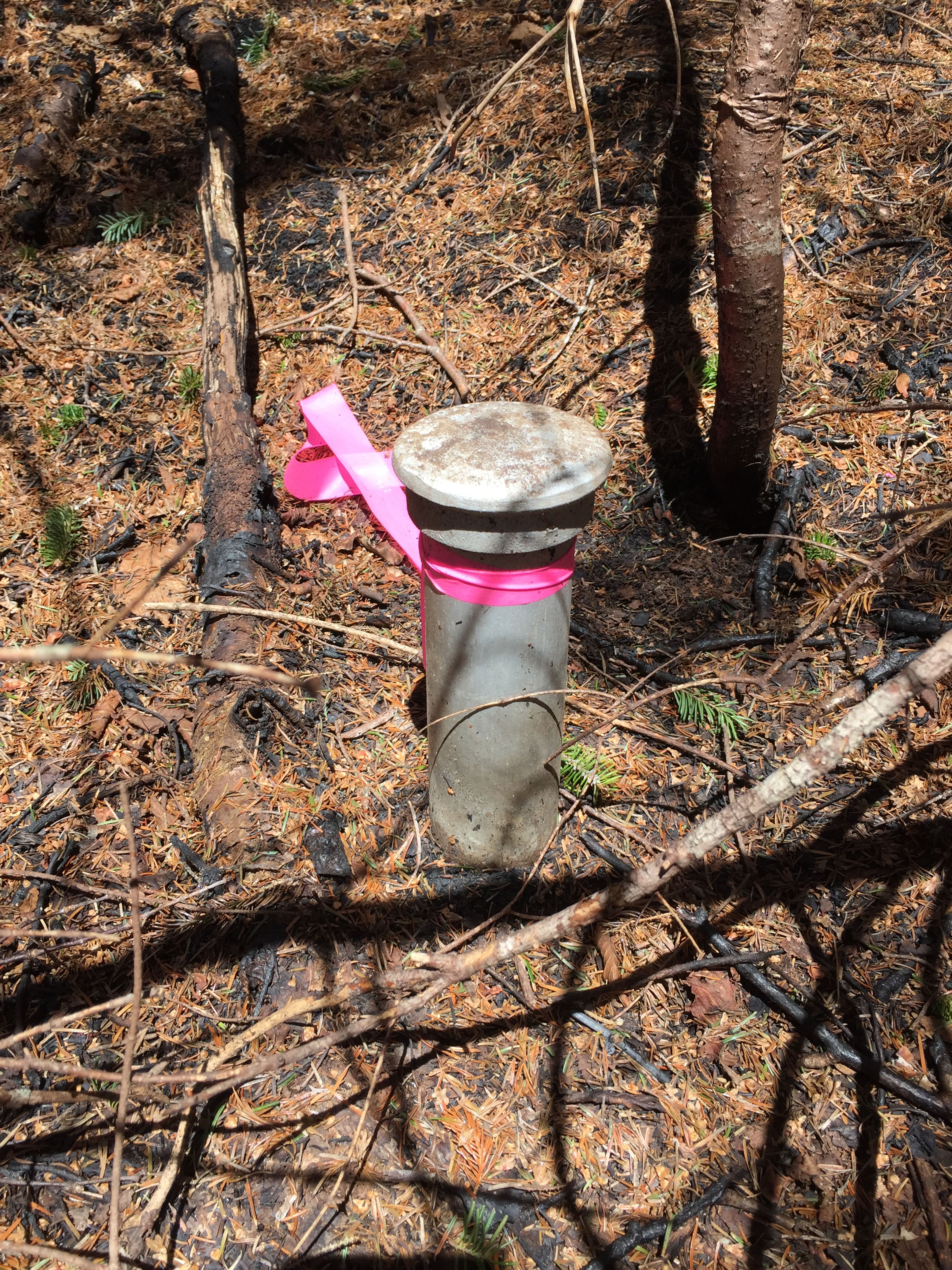 A boundary marker on the western boundary of the Forest Society's 148-acre Lost River Reservation.