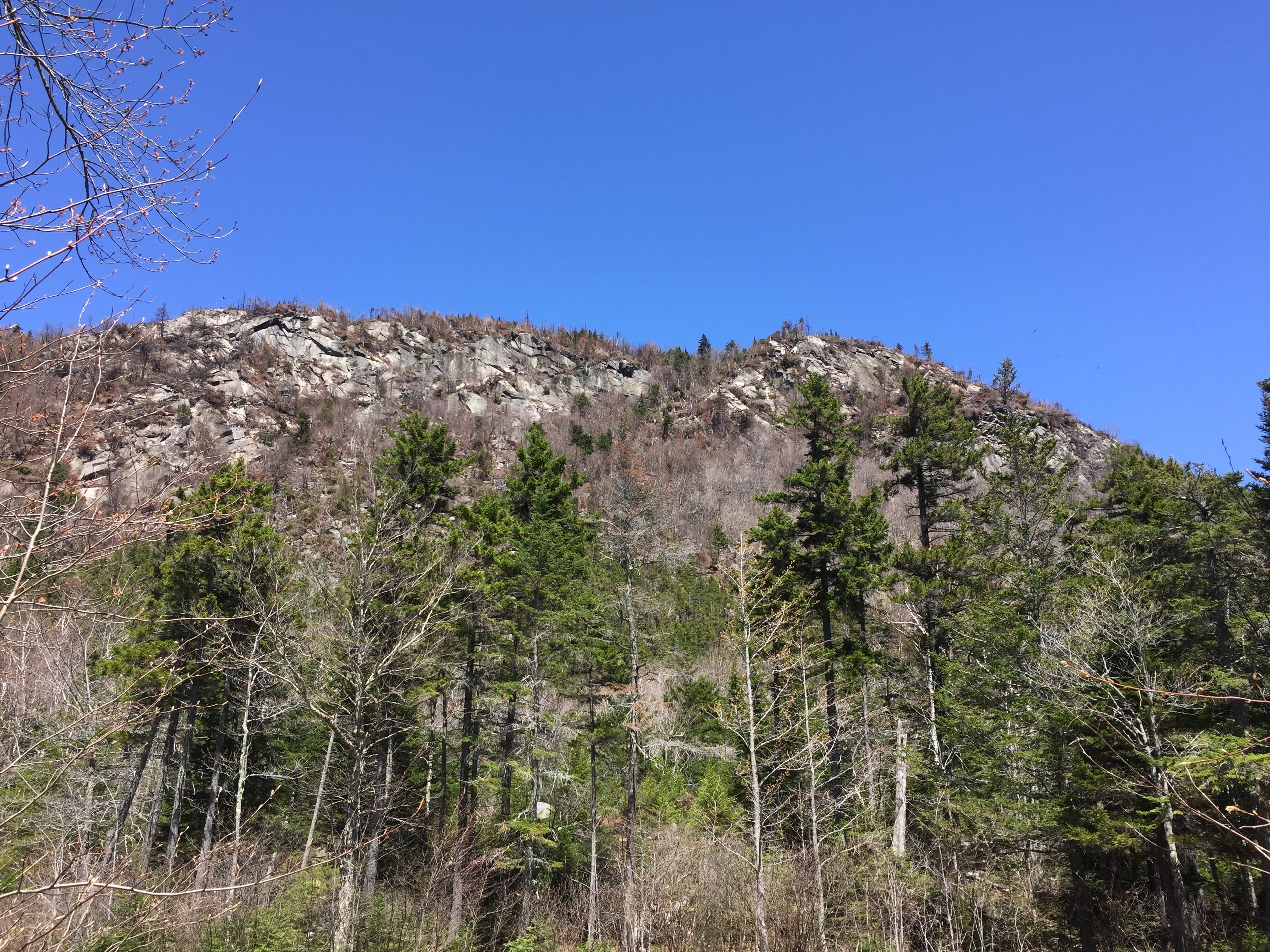 Another view of the south-facing Dilly Cliffs that were scorched in 2017.