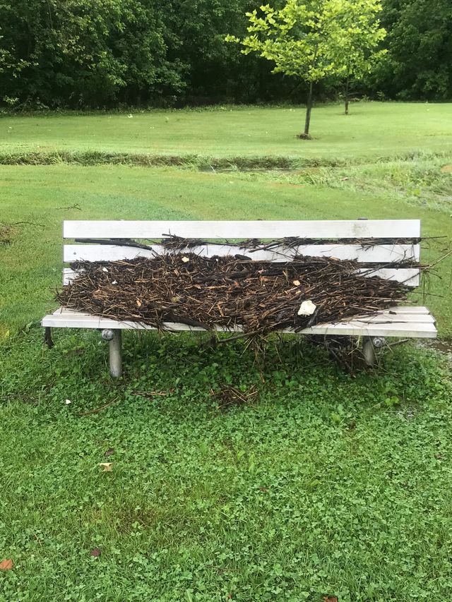 Flooded debris on park bench