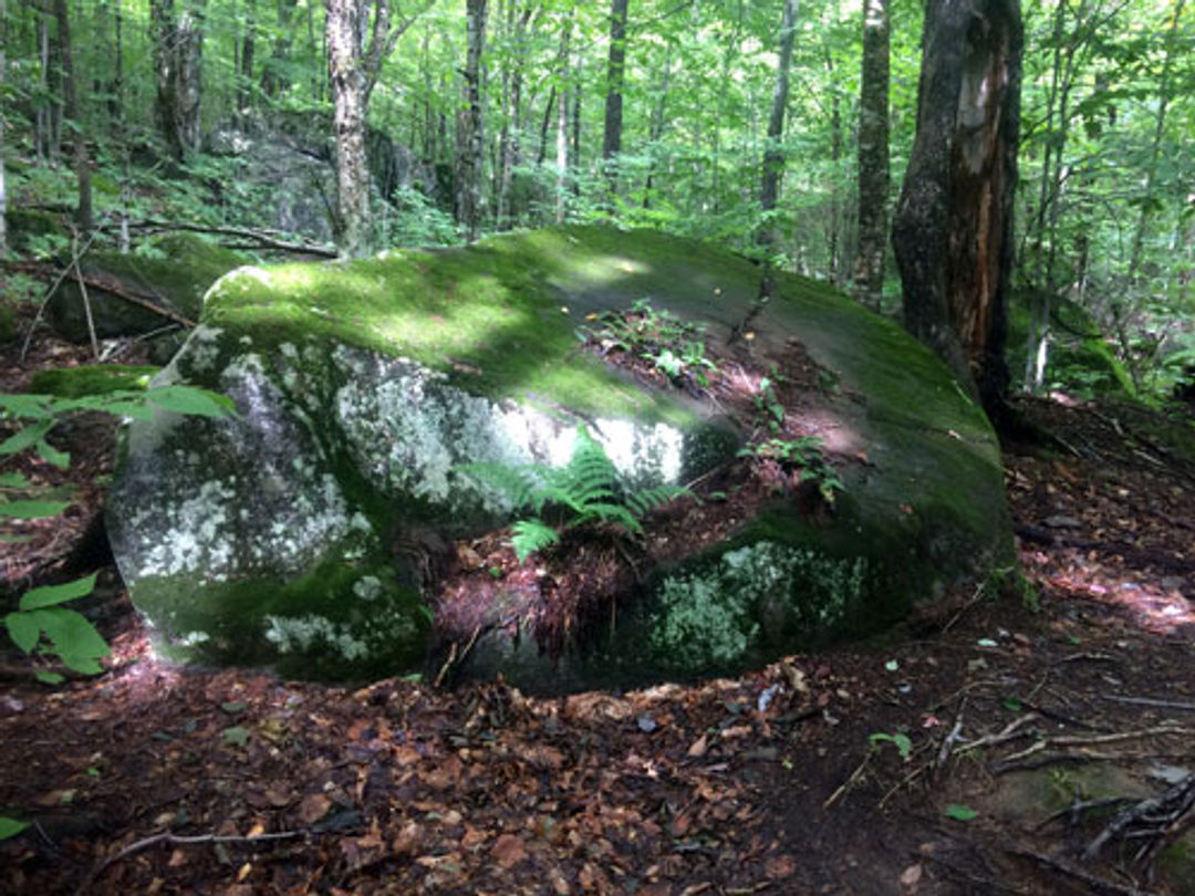 This large boulder melted out of the last glacier about 12,000 years ago.