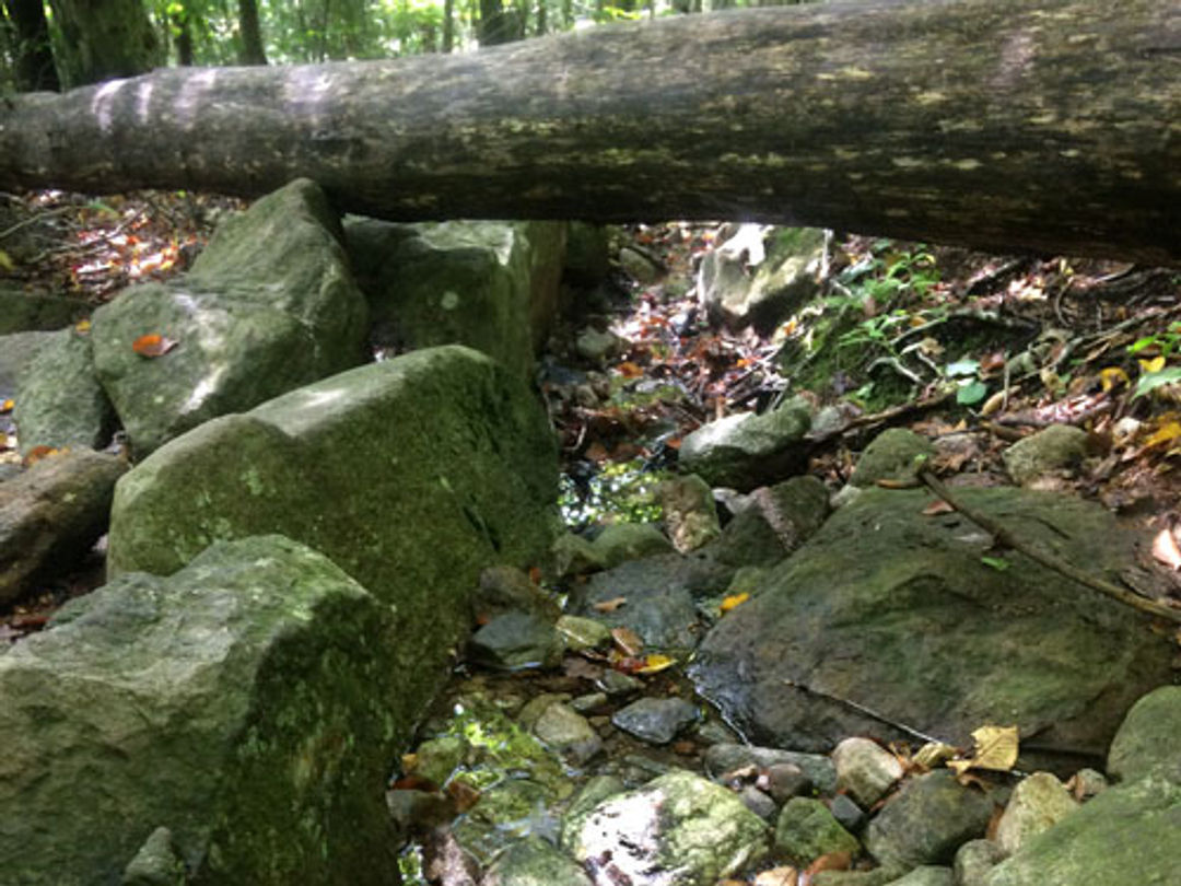 These rocks make up a "waterbar" that is built to divert water off of a trail.