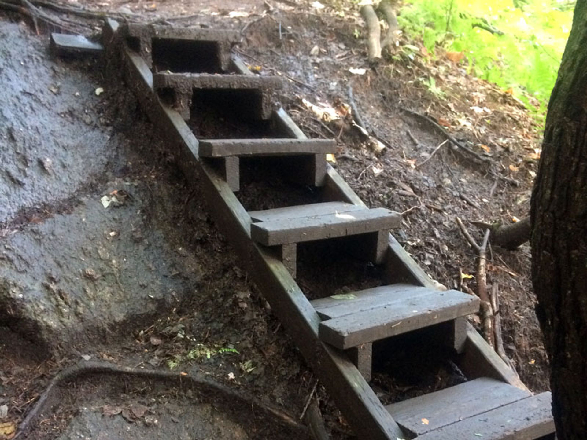 This wooden staircase should be ascended and descended with caution.