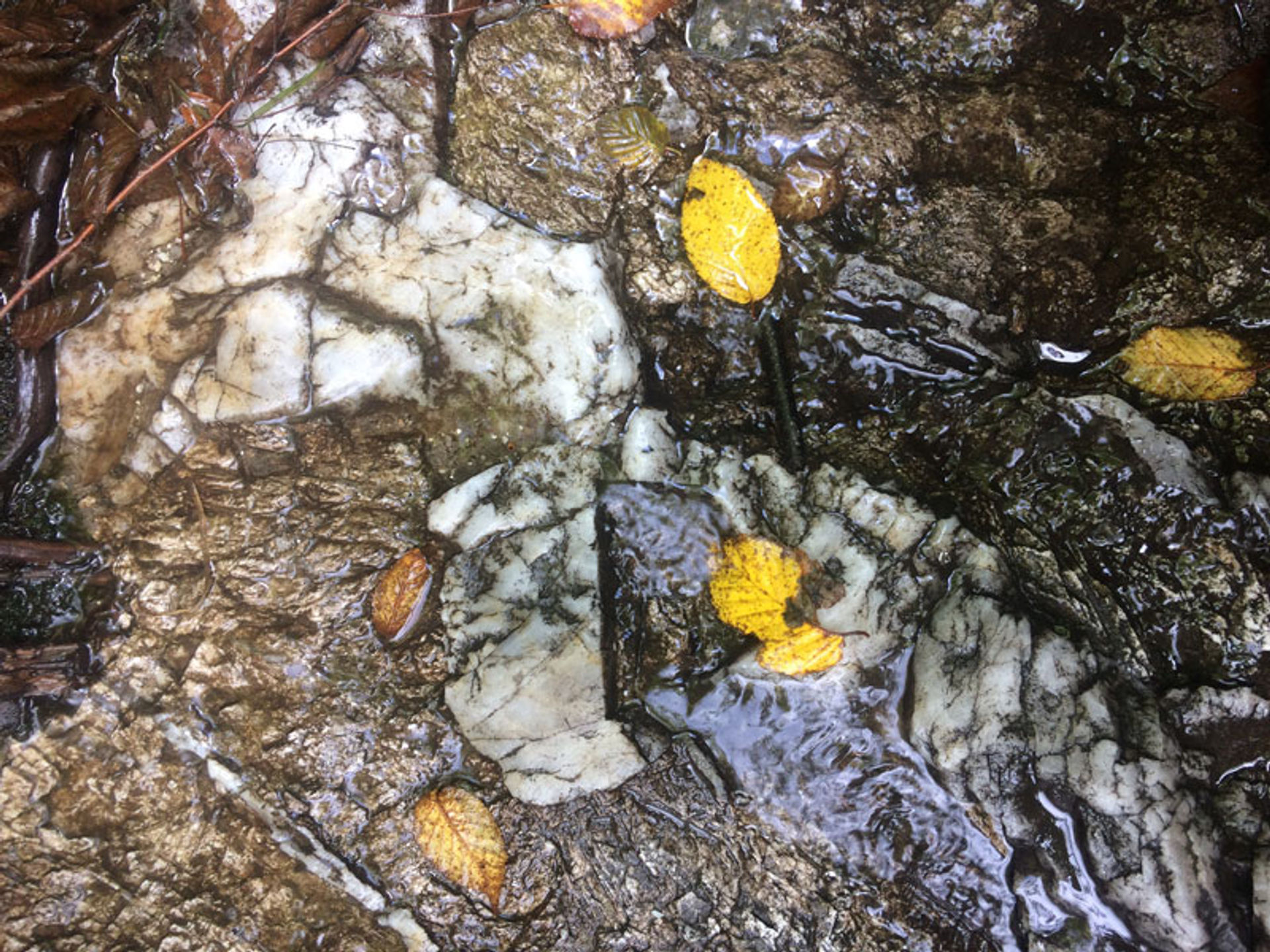 Large white quartz crystals are embedded in granite.