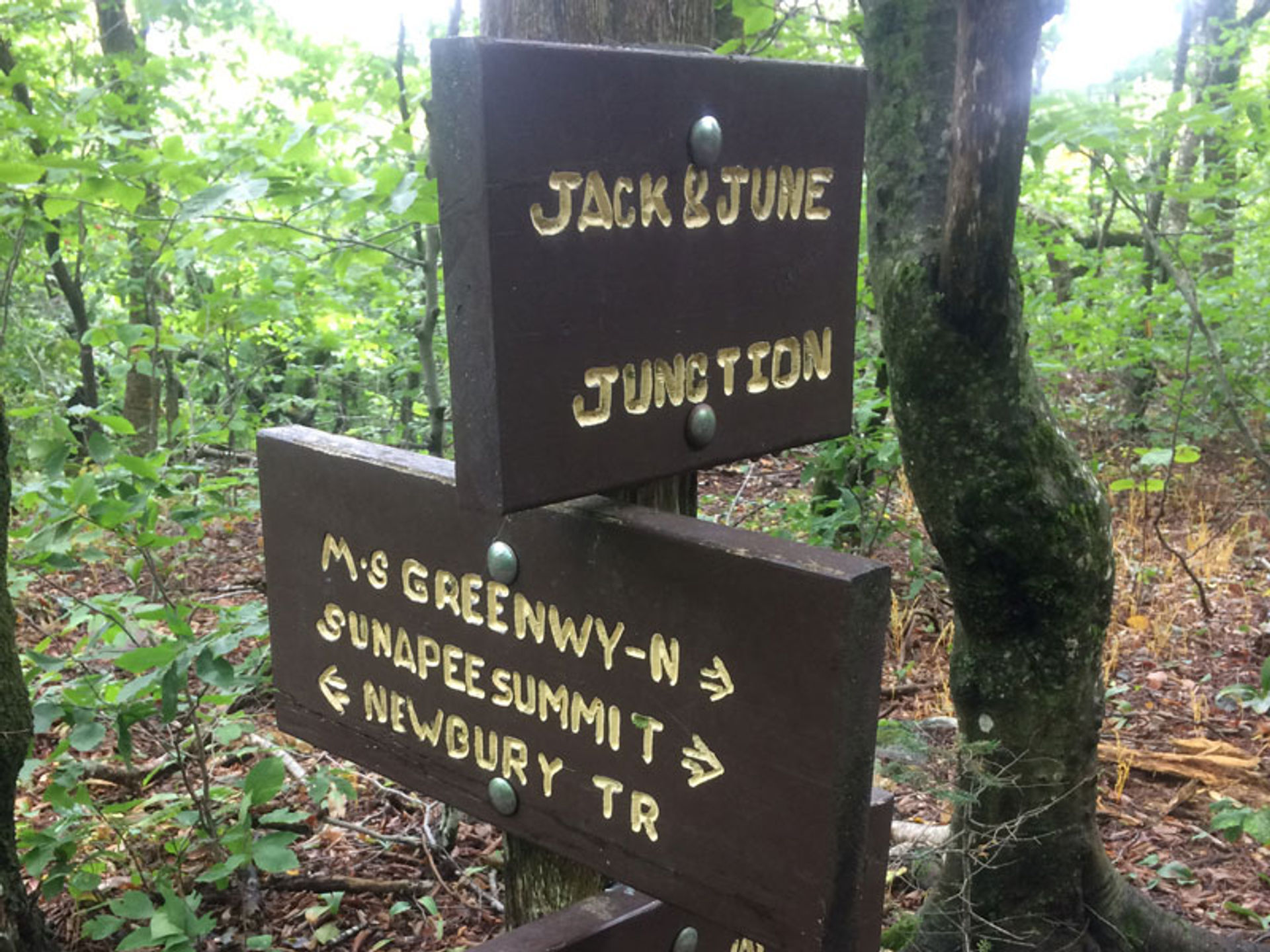 The "Jack and June Junction" junction sign honors the original maintainers of the Monadnock-Sunapee Greenway.