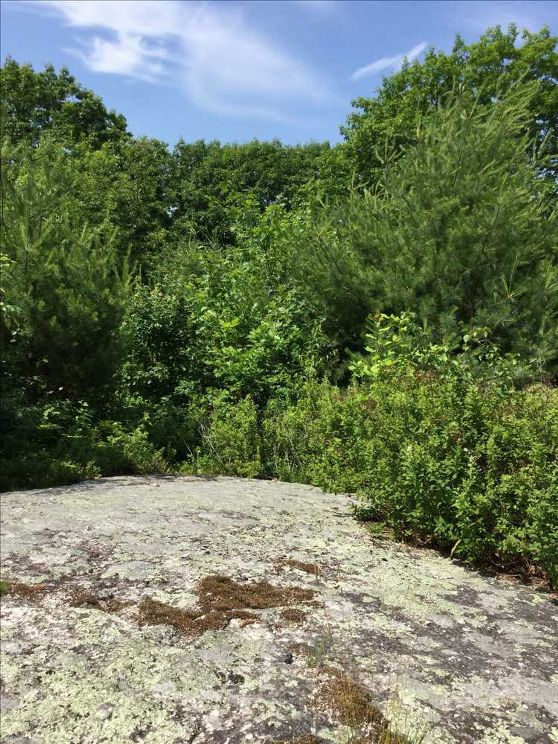 A granite ledge with views of Mount Major to the north.