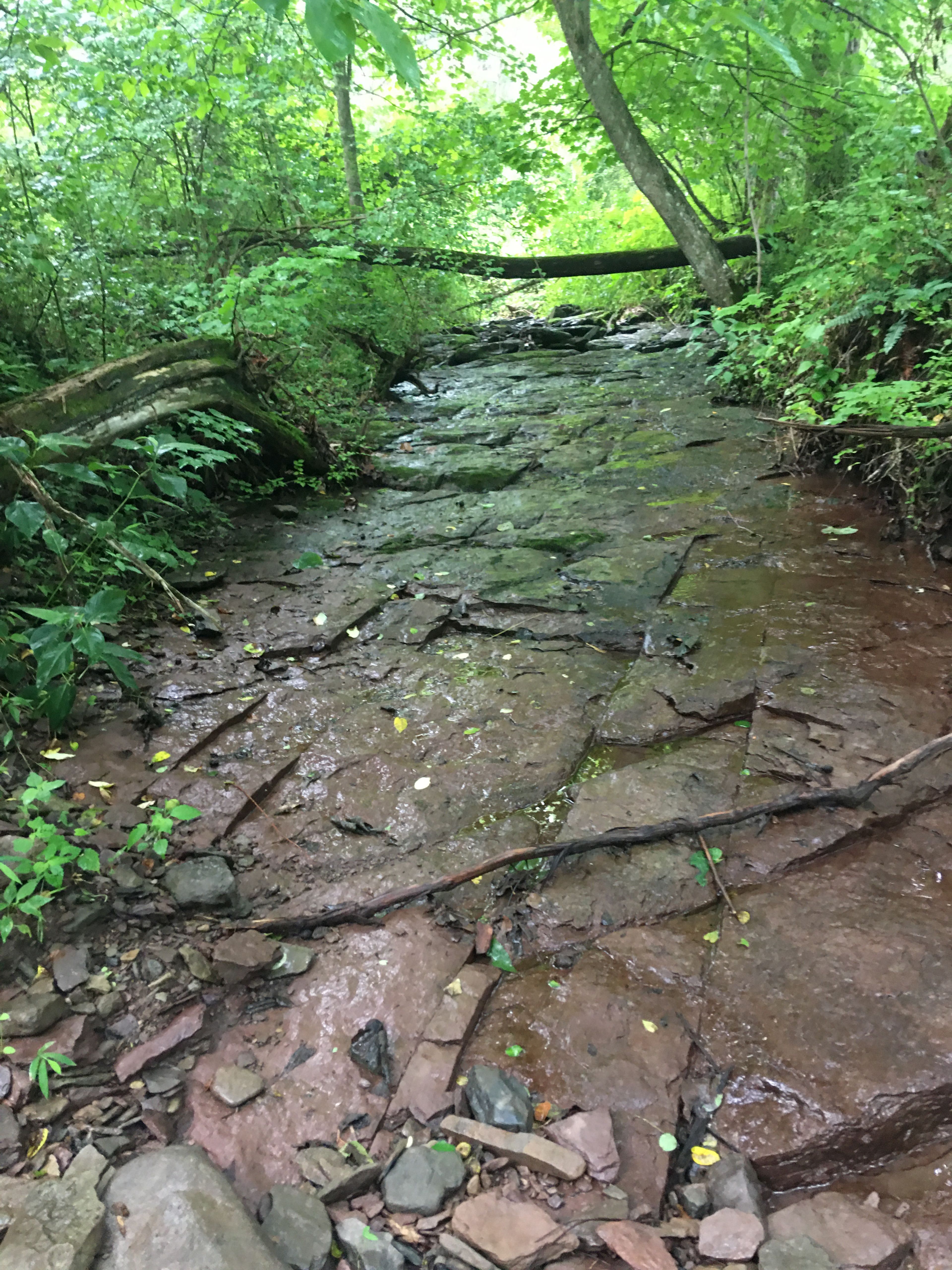 Bedrock shale deposit on small feeder stream to Burke's Run.