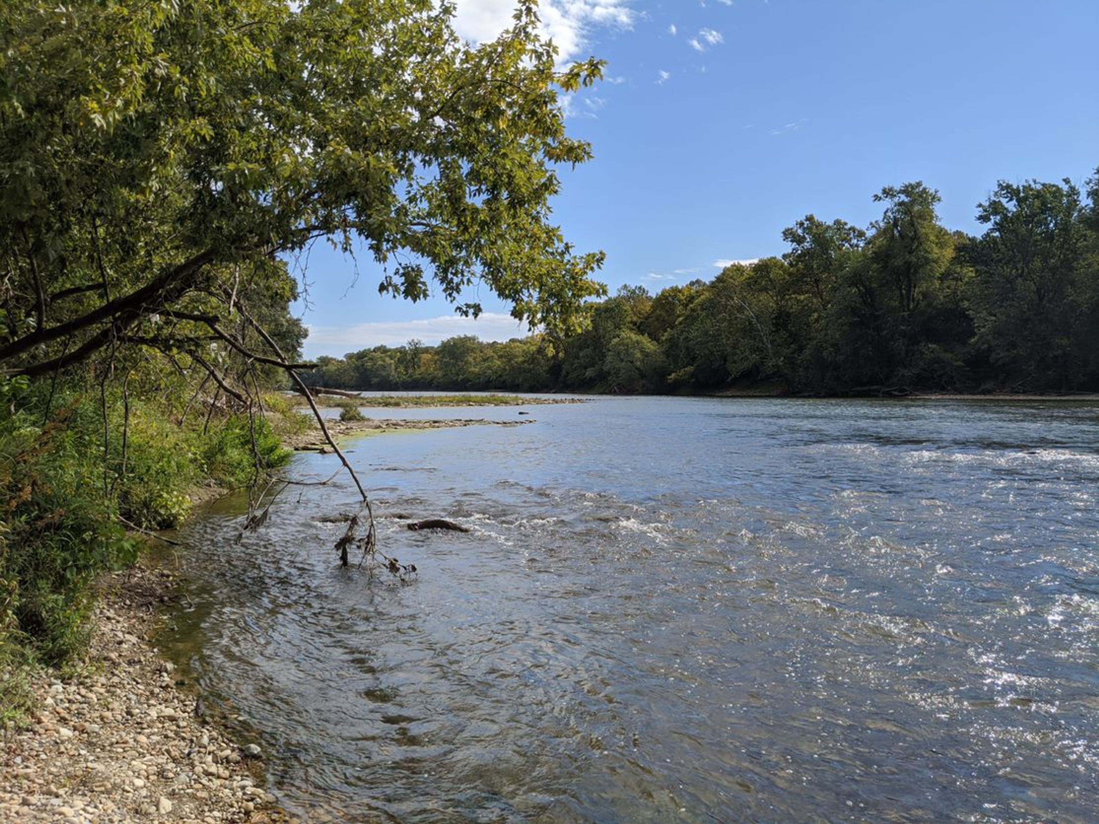 Great Miami River at Woodsdale Regional Park