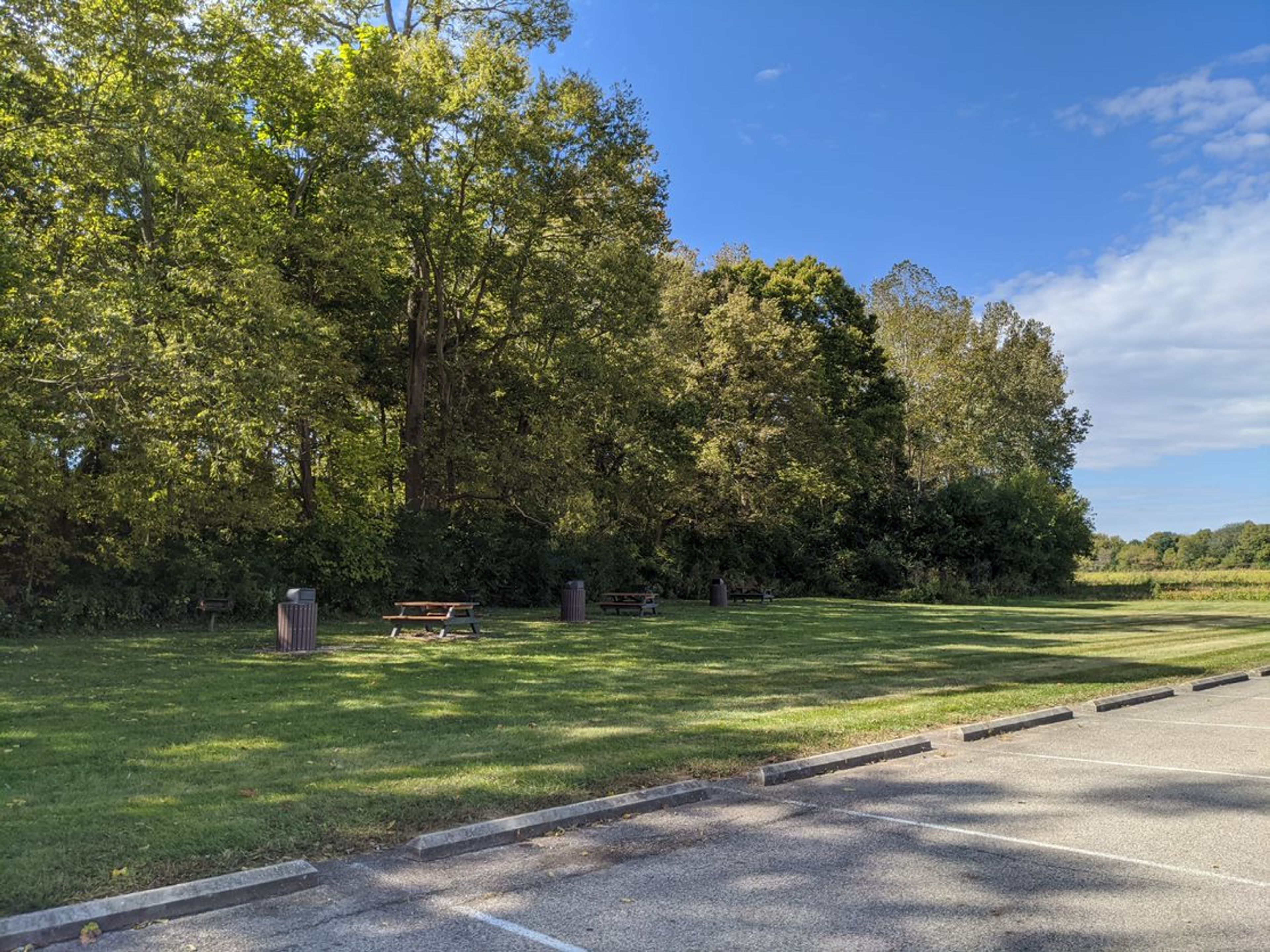 Picnic Tables at Woodsdale Regional Park