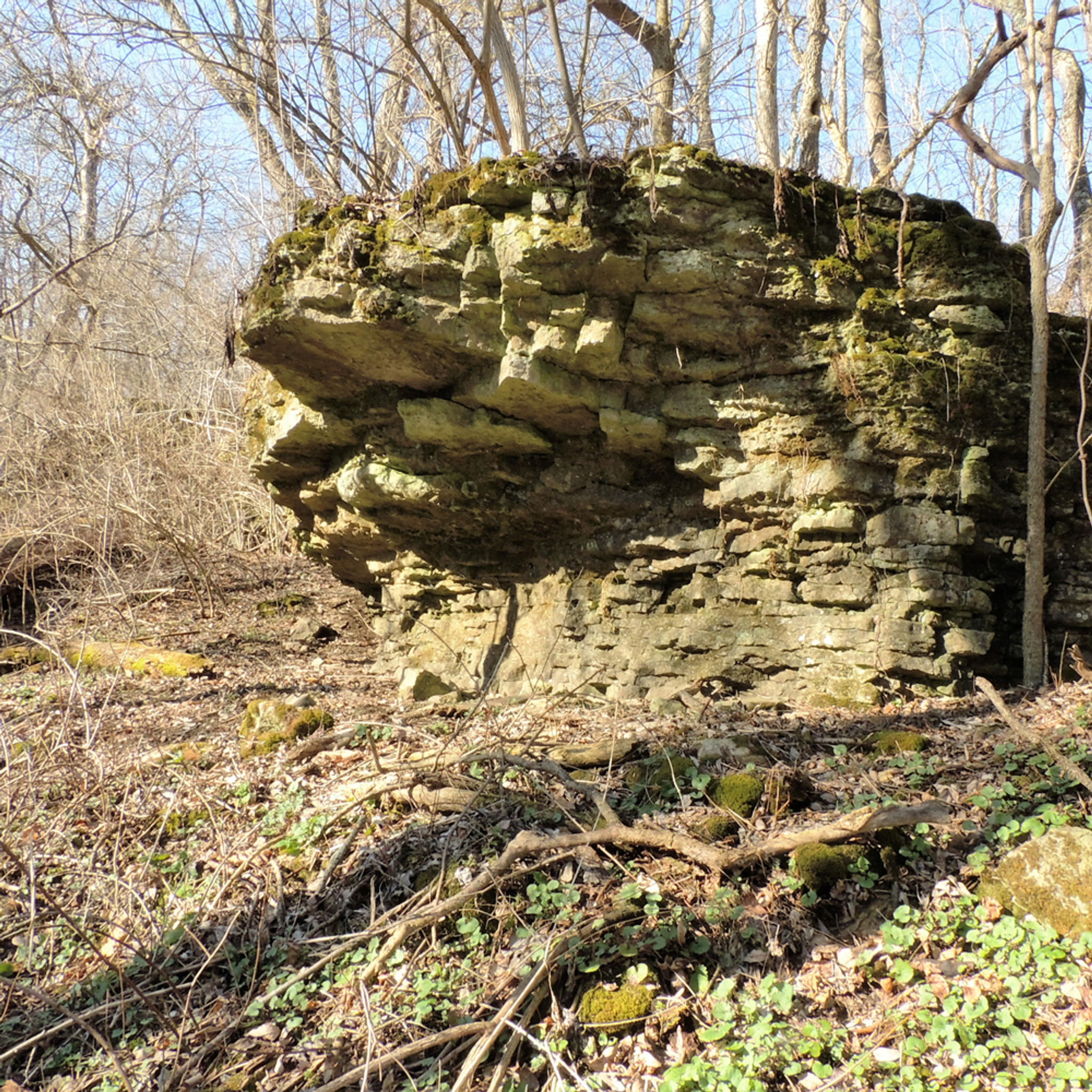 Indian Mound Reserve