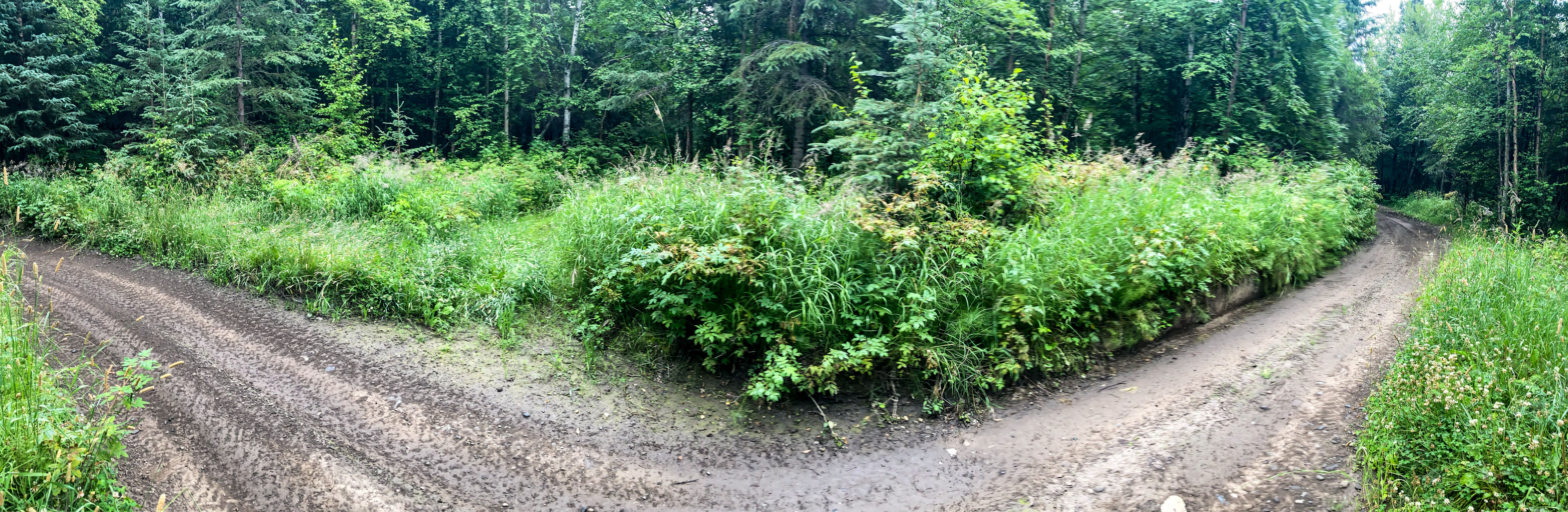 Plumley-Maud Trail at the junction of the Burnt Butte Trail