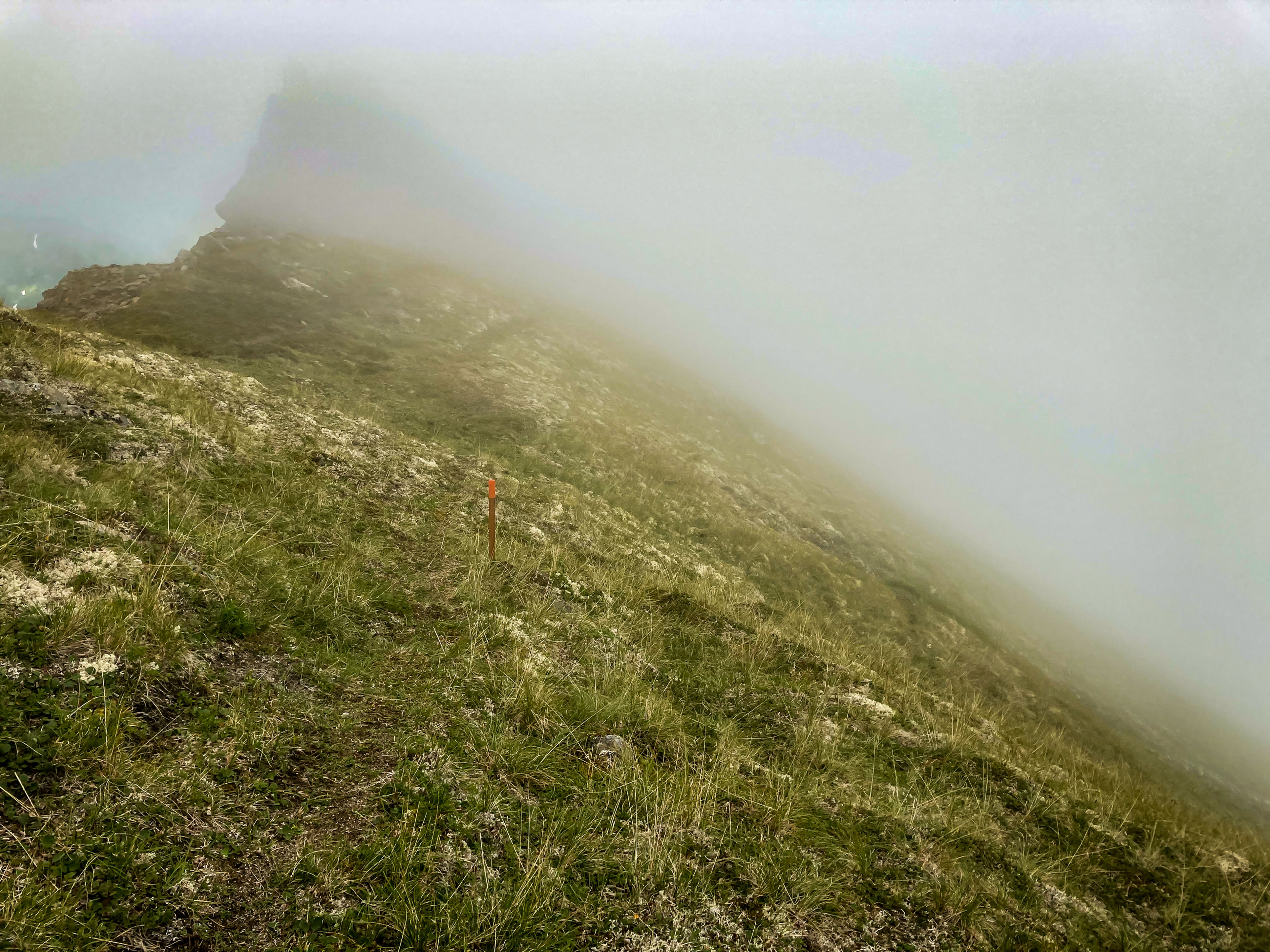 Near the summit of Governement Peak on the Blueberry Knoll Primitive trail showing trail and markings.