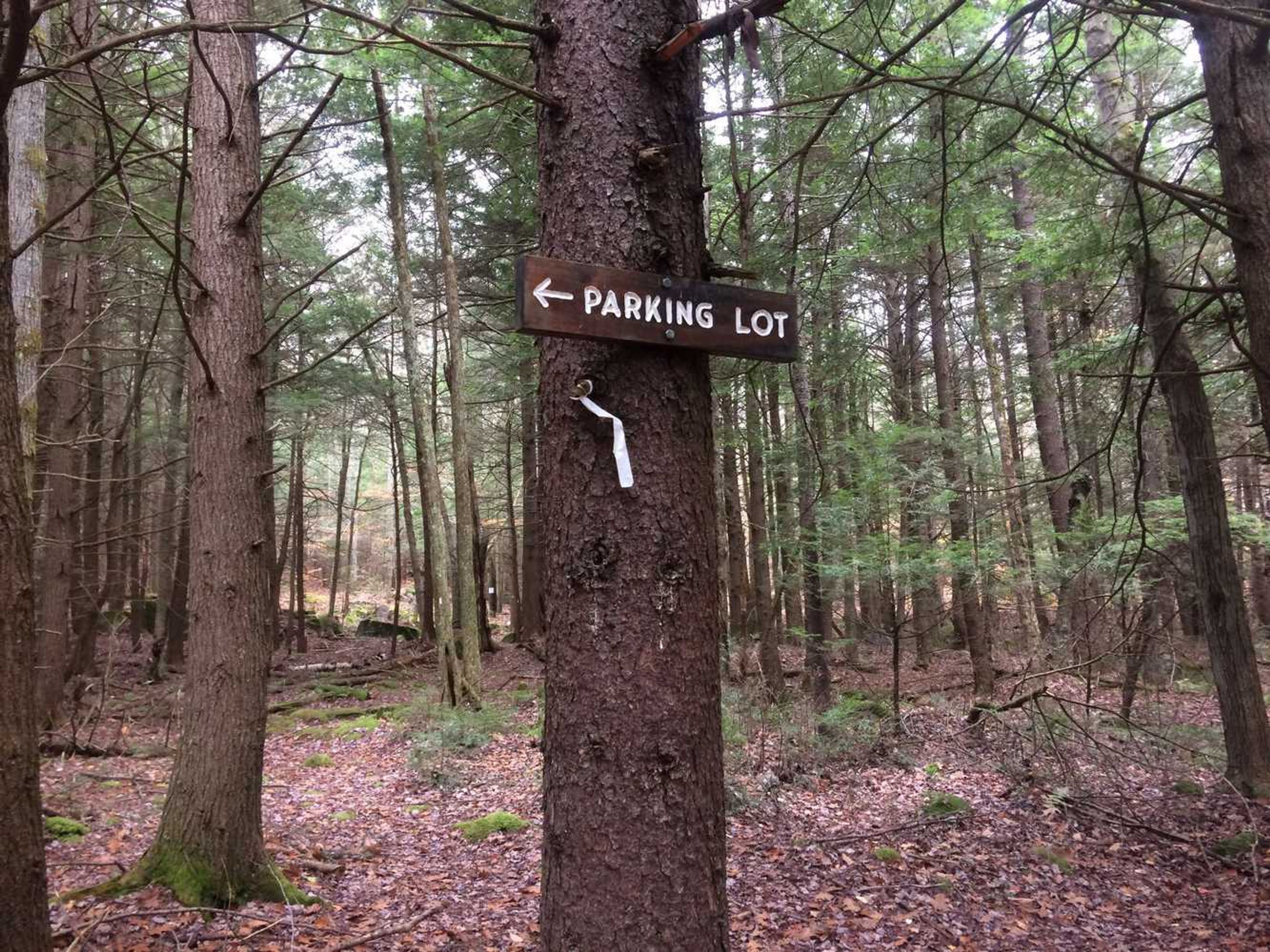 A wooden sign pointing left toward the parking lot.