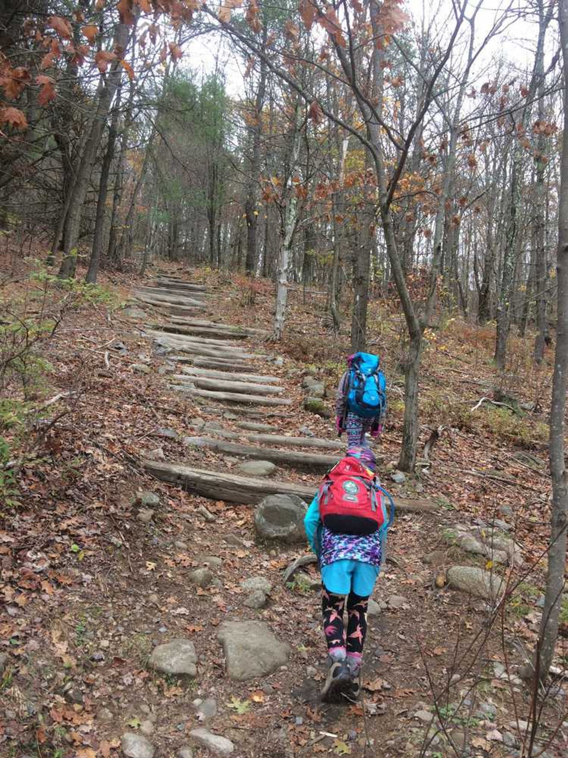 A family walks up a trail in the woods.