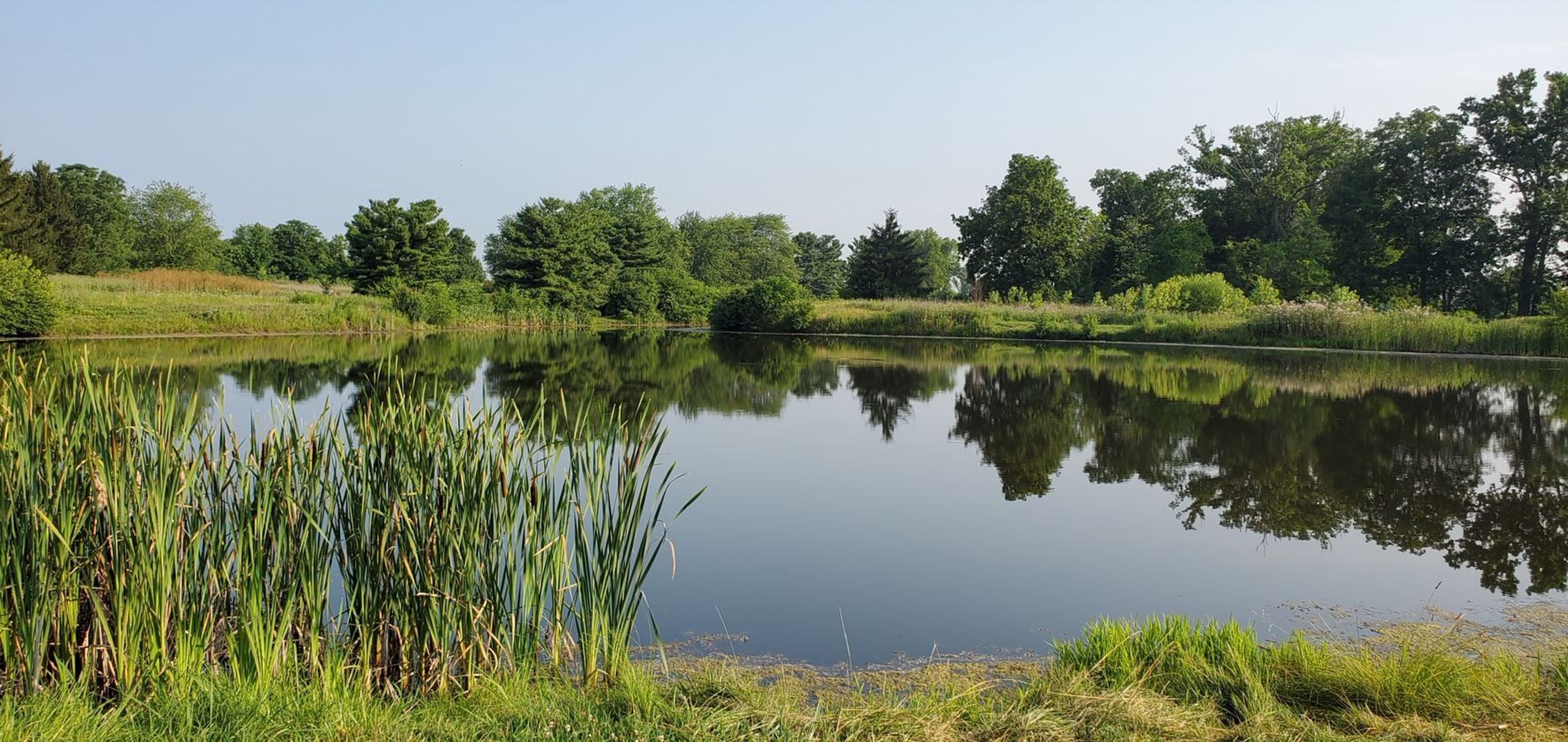 Dave's Trace Pond