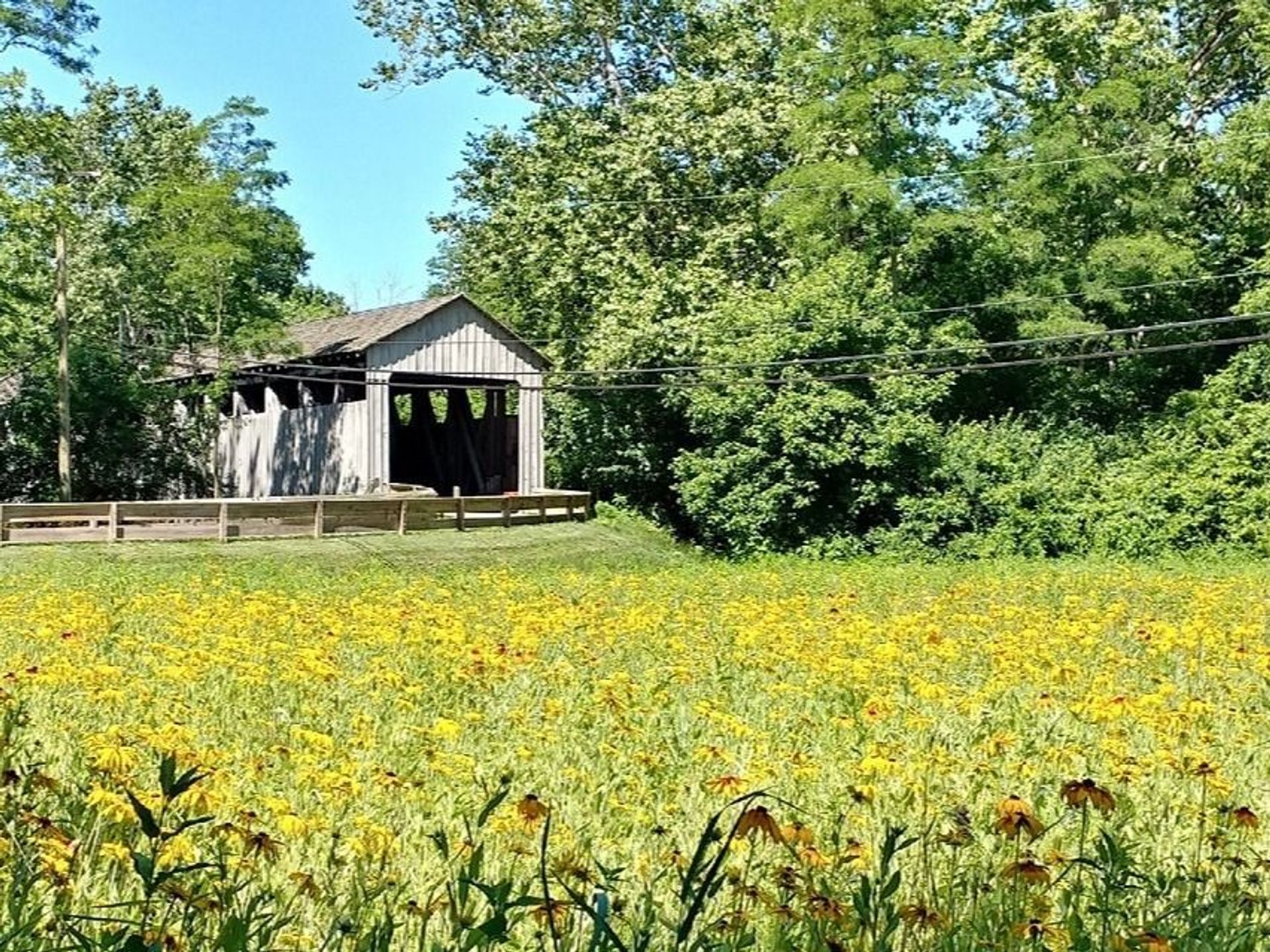 Covered Bridge at Mill Race Preserve