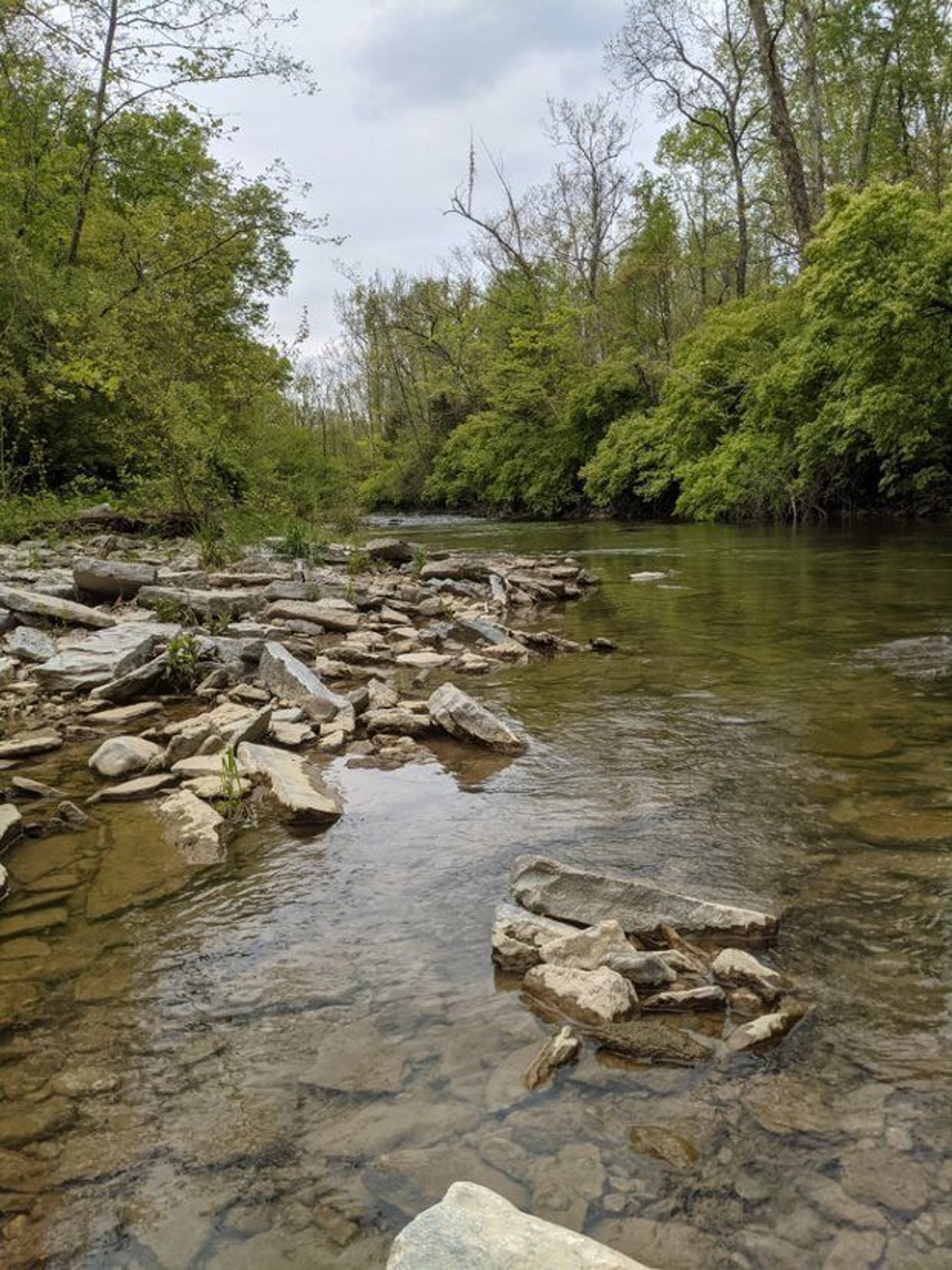 Indian Creek at Oxford Reily Road area of Indian Creek MetroPark