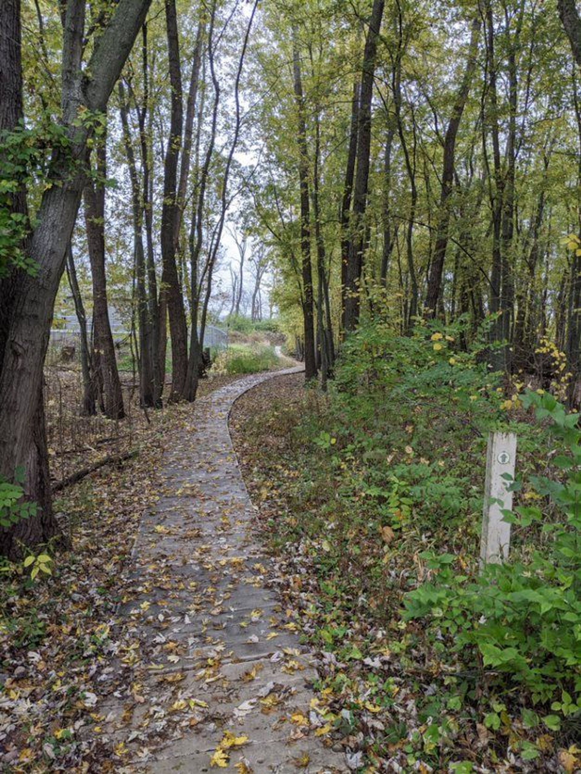 Floating bridge at Gilmore MetroPark