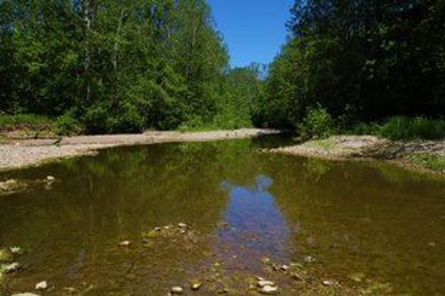 Dry Fork Creek at Governor Bebb MetroPark