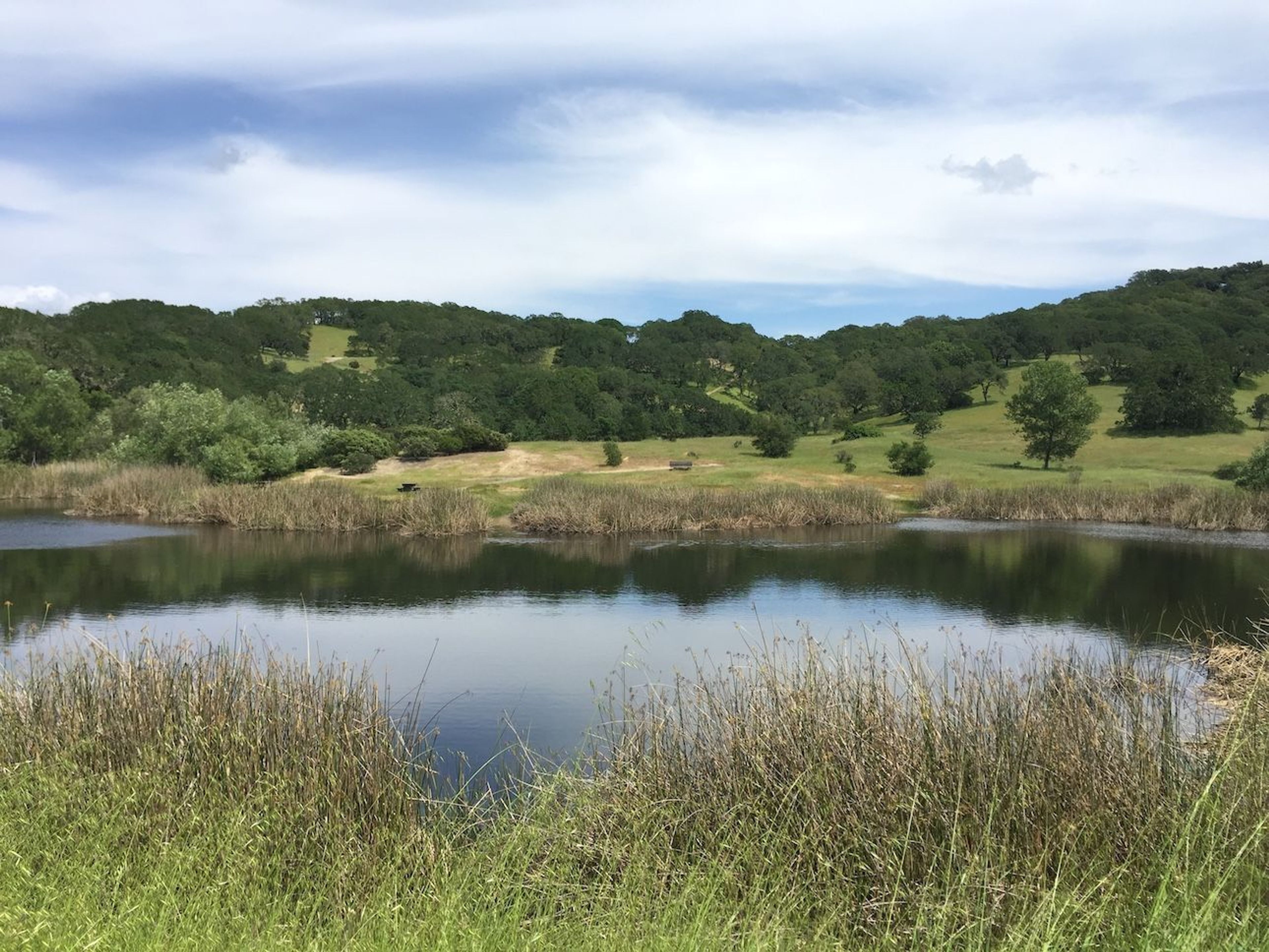 Foothill Regional Park - Pond C