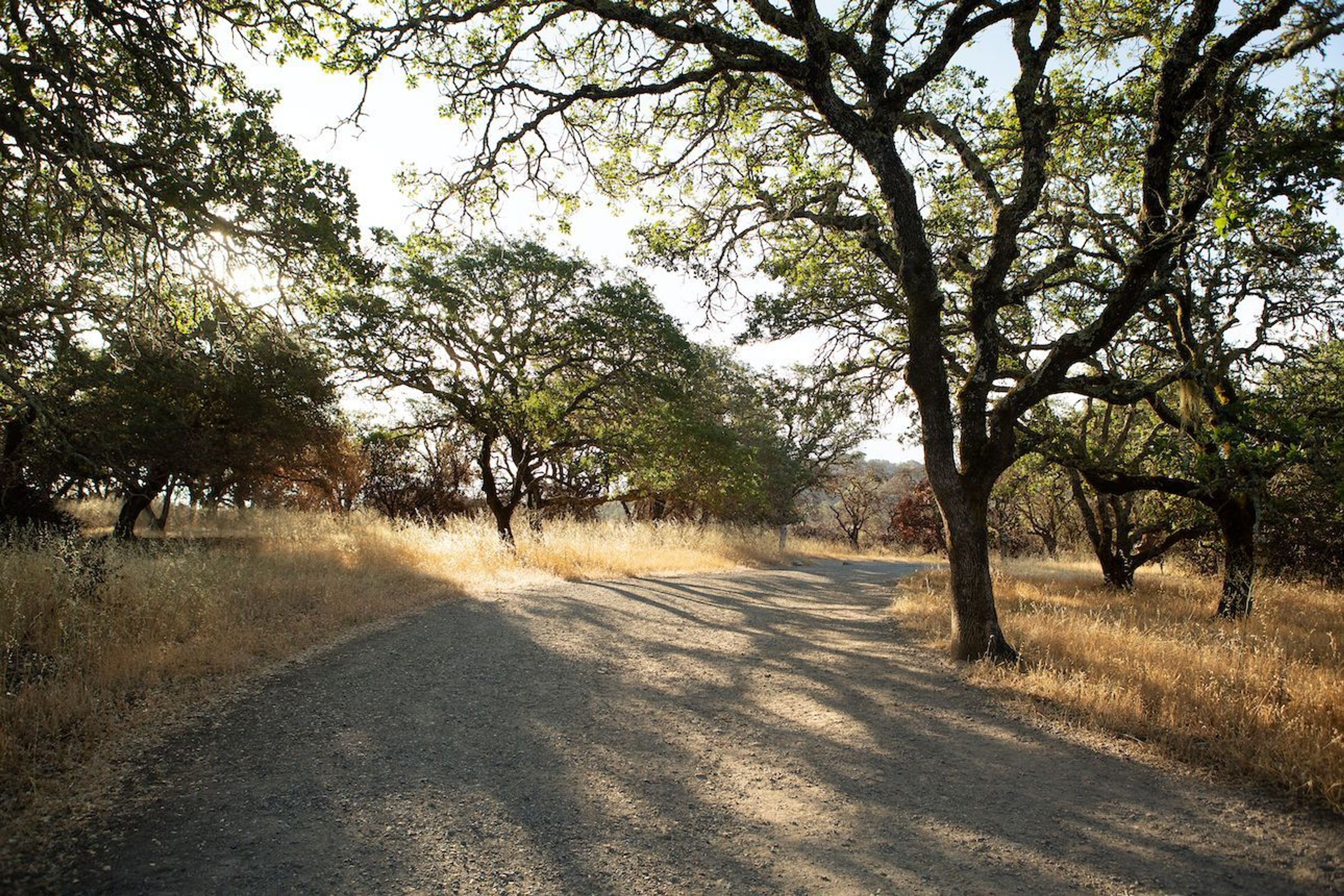 Foothill Regional Park – Westside Trail