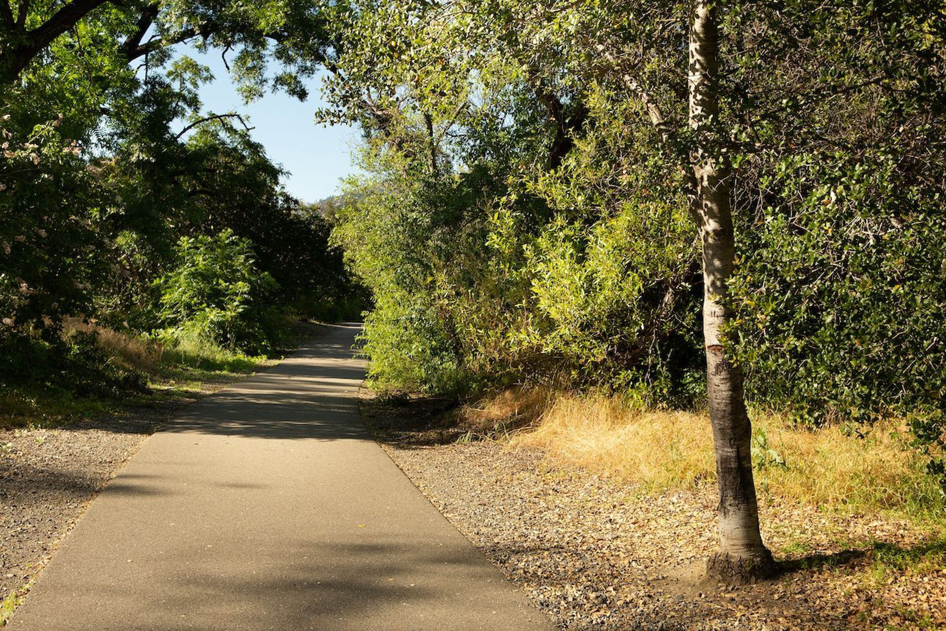 Cloverdale River Park - Cloverdale River Park Trail