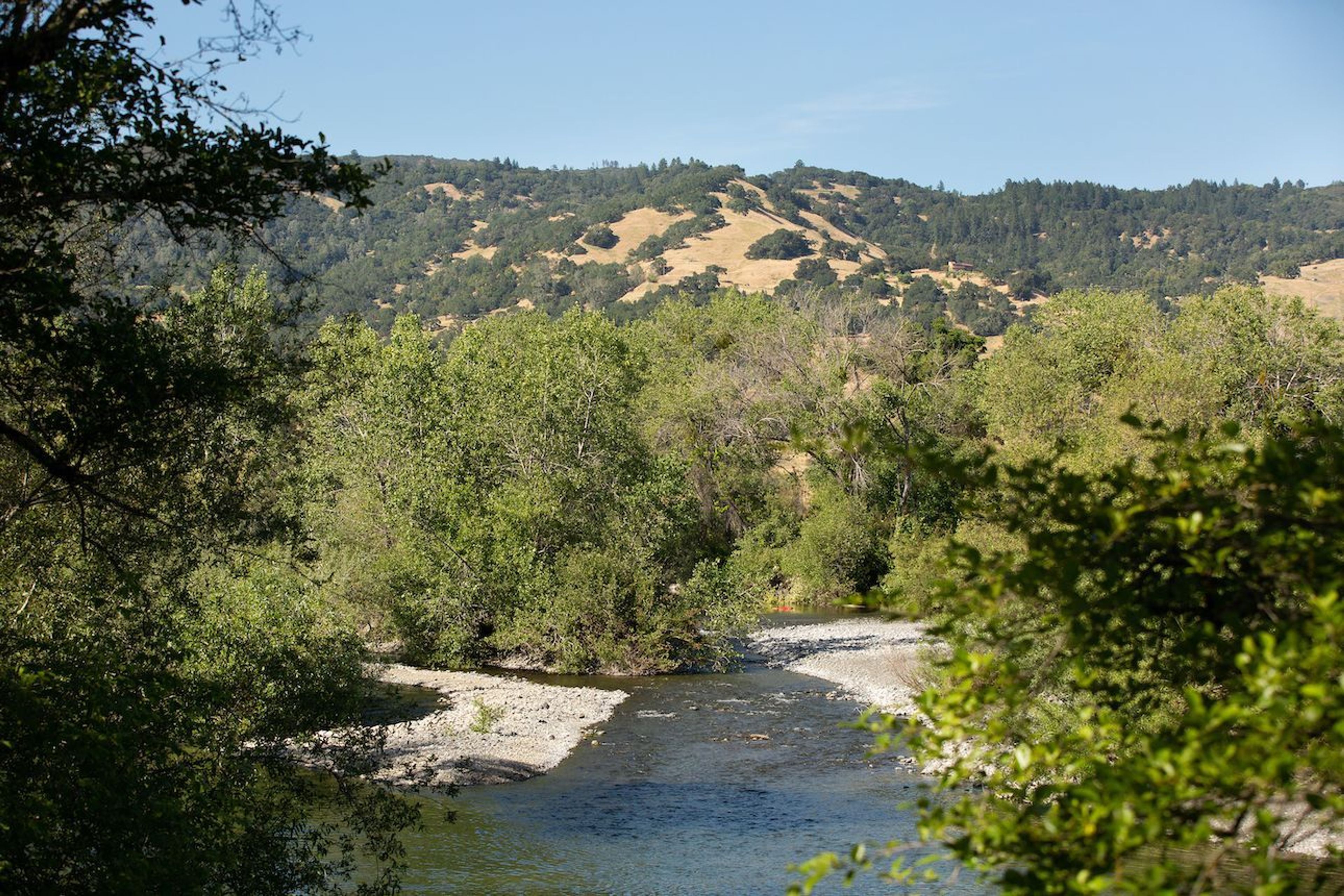 Cloverdale River Park - View of Russian River