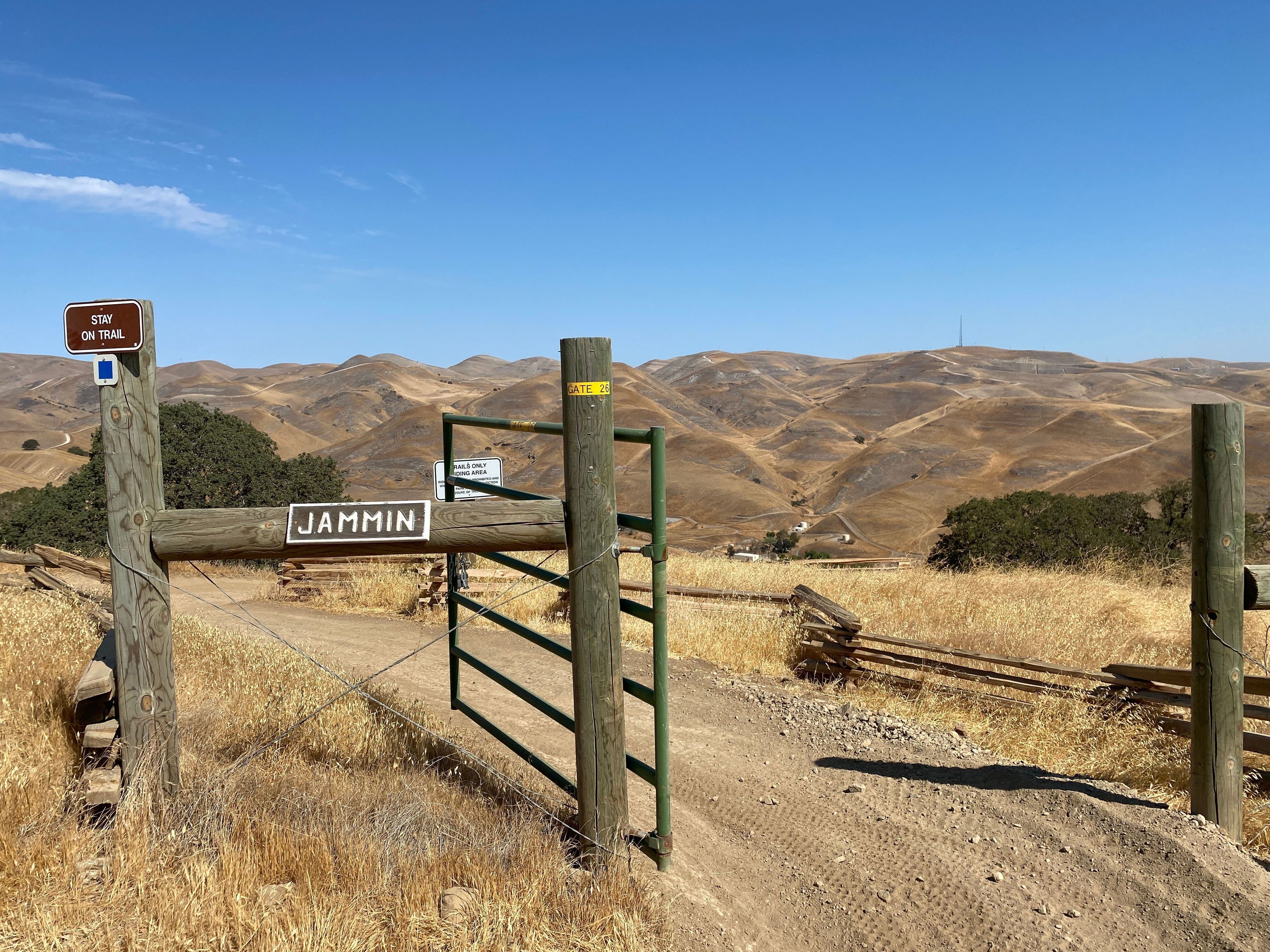 Second Jammin Trailhead Entrance on Los Osos, Blue Square Intermediate